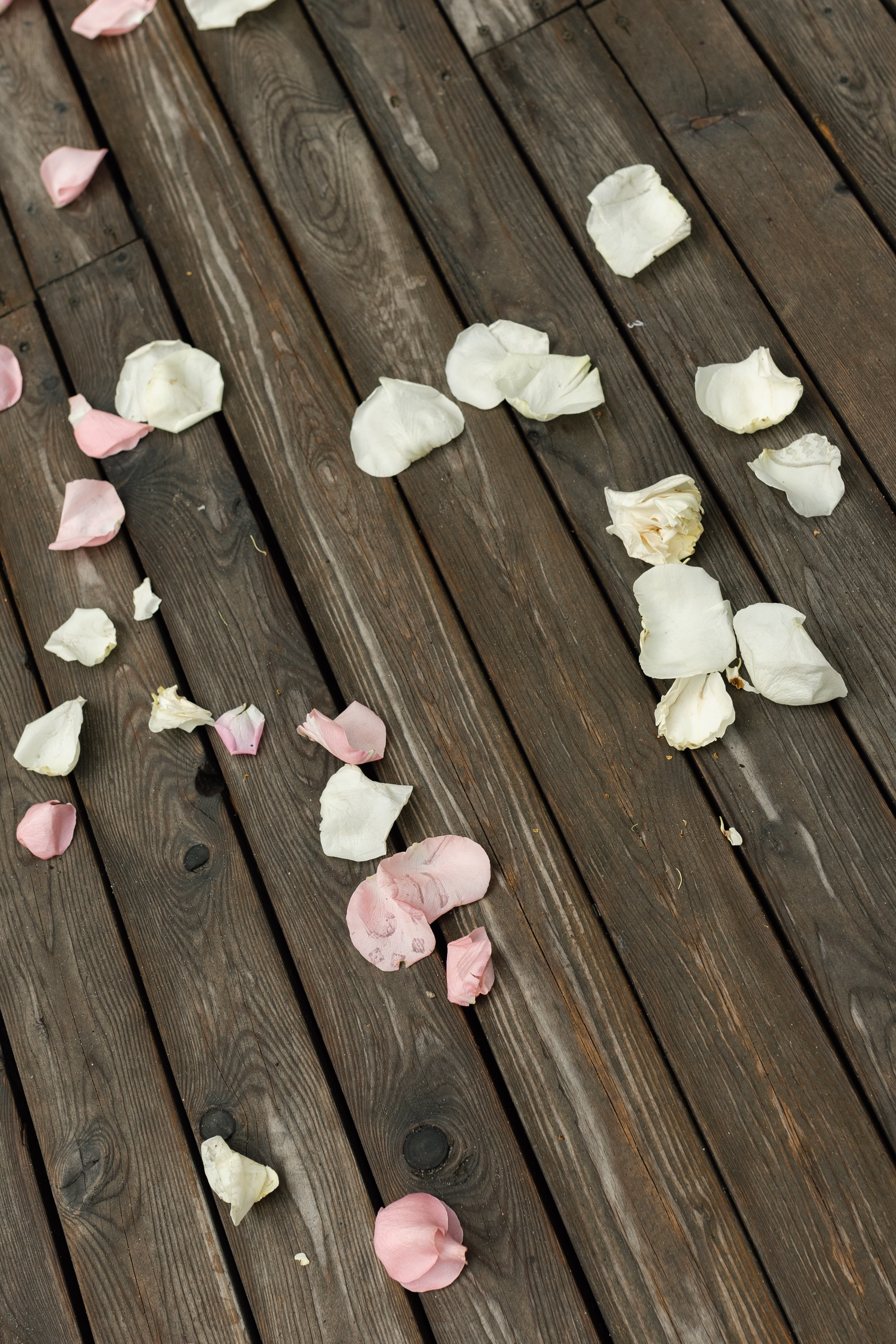 Maksim & Lia. Фотограф в Томске Ирина Павлуцкая