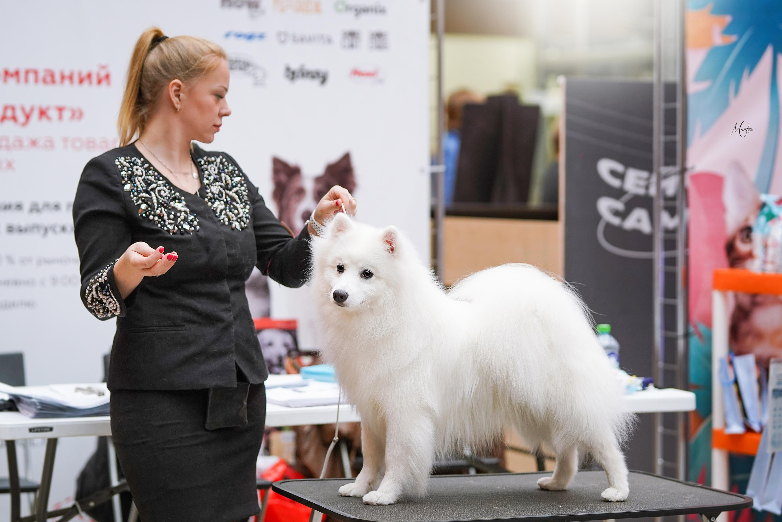 Выставки 2023. Фотограф-анималист в Санкт-Петербурге Яна Мартынова