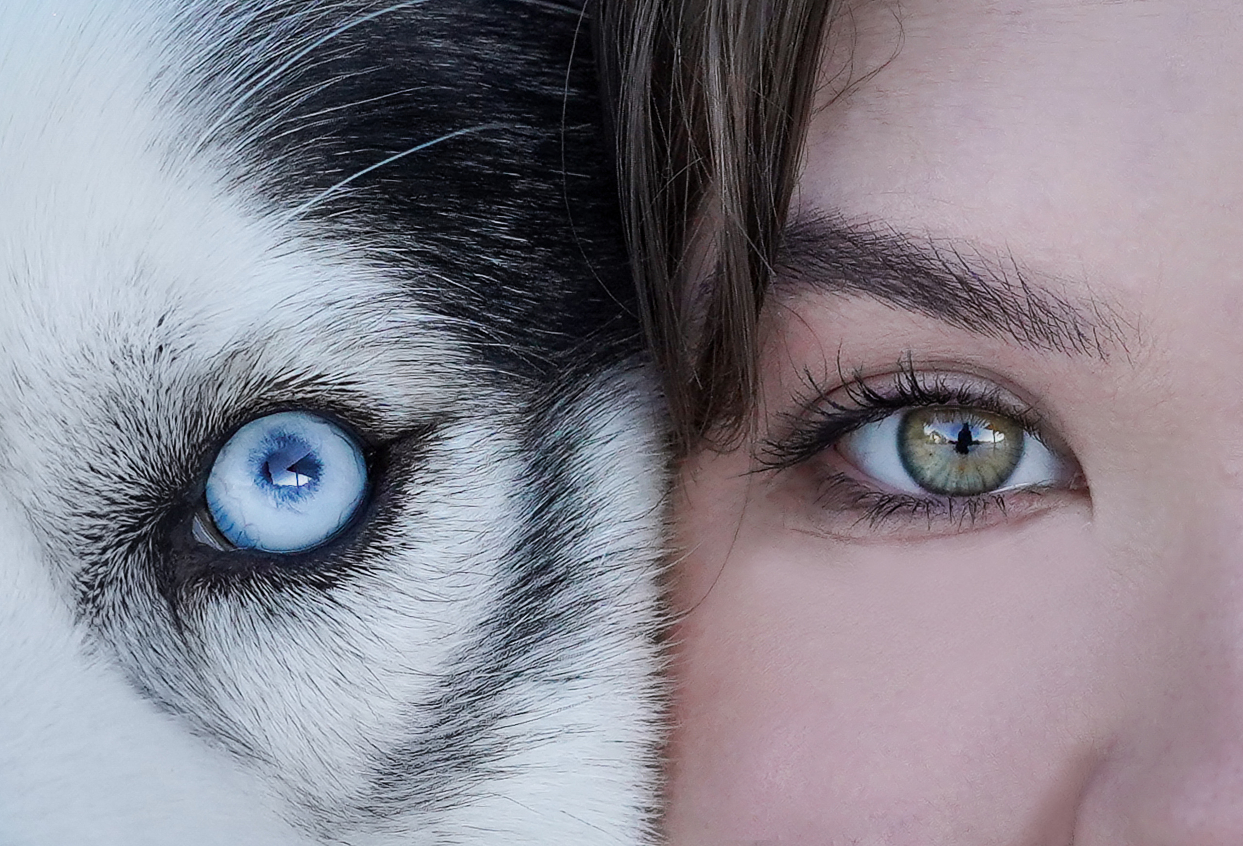 Саша и хаски зима. Фотограф-анималист в Санкт-Петербурге Яна Мартынова