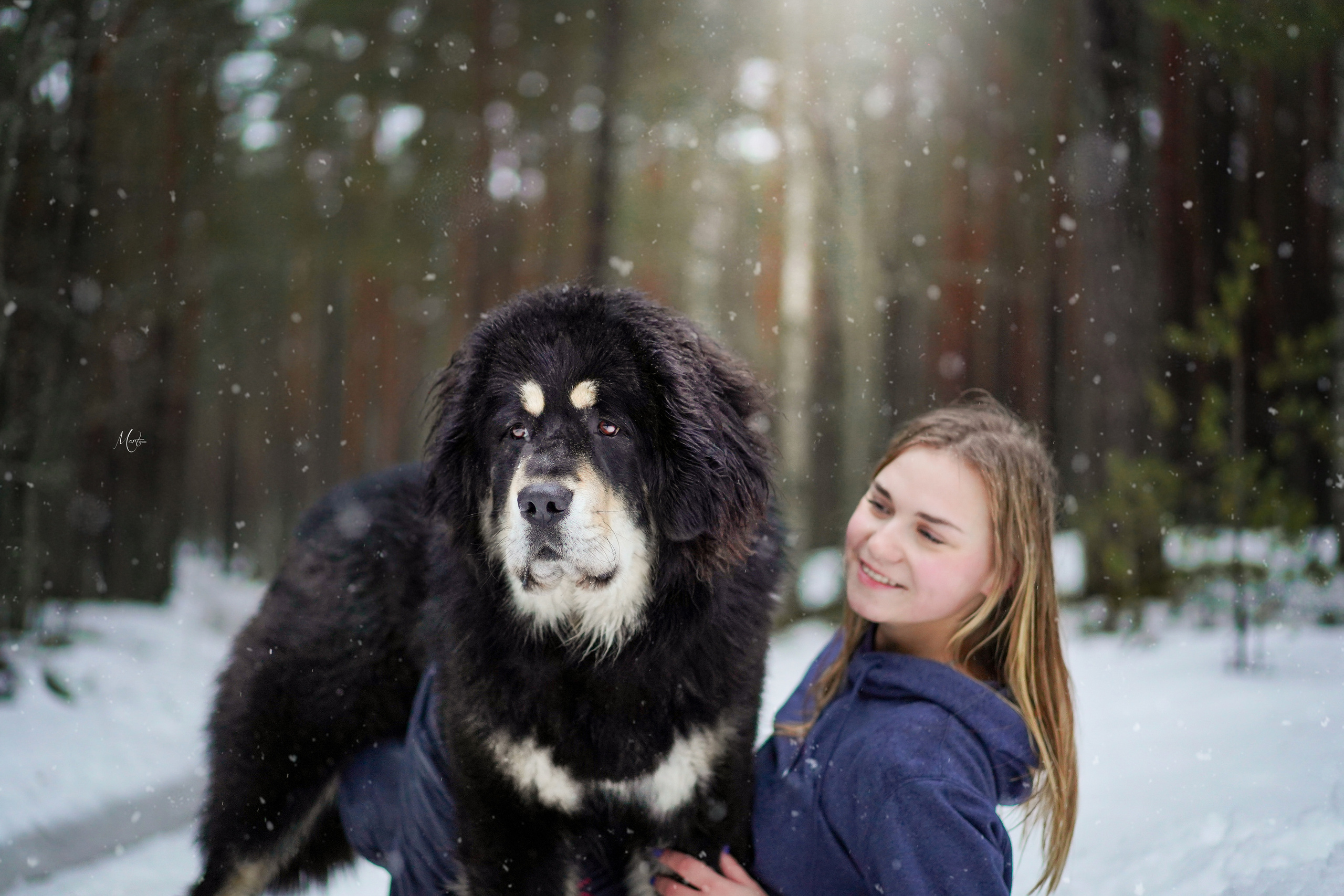Тибеты. Фотограф-анималист в Санкт-Петербурге Яна Мартынова