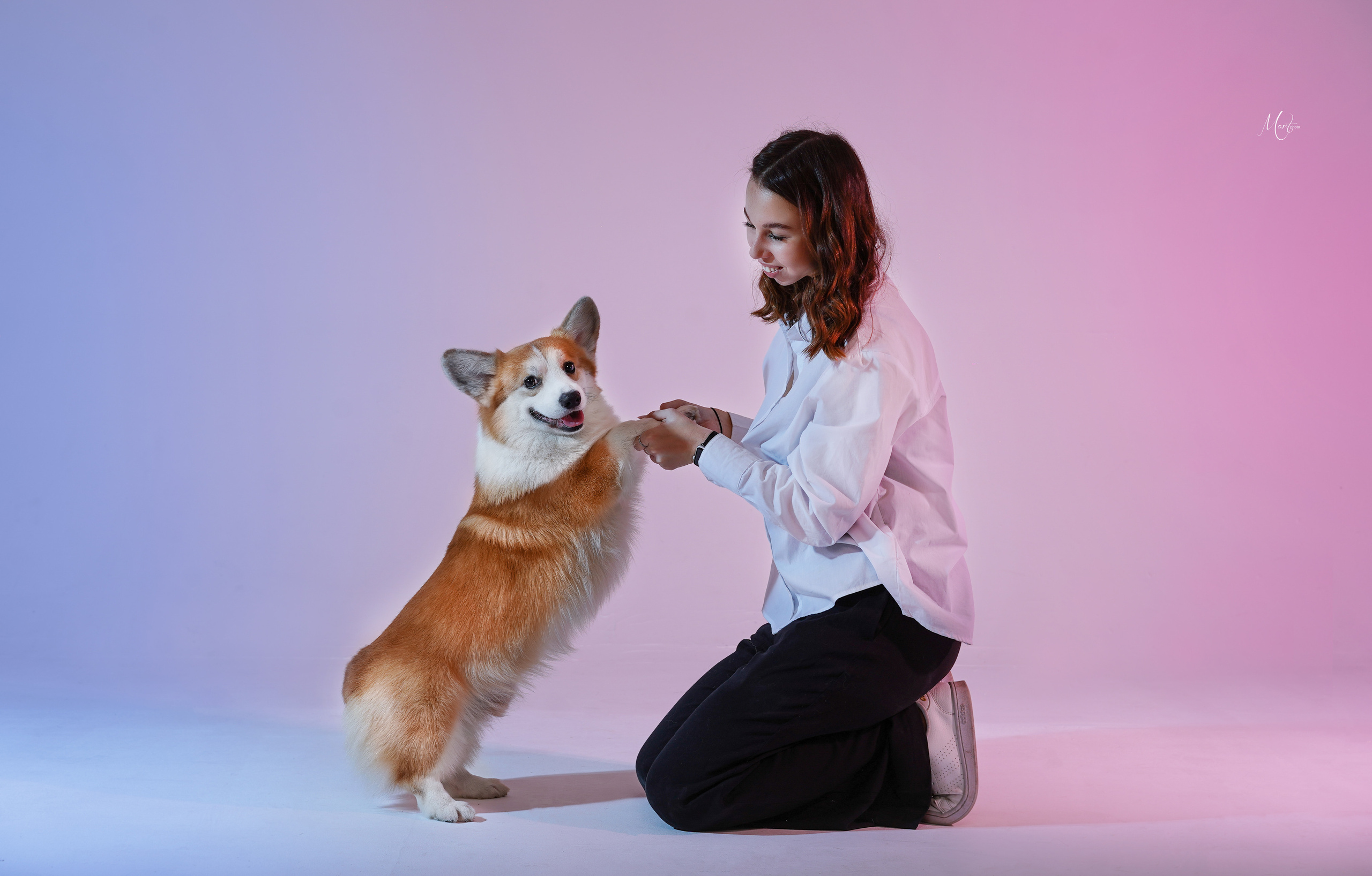 Экстерьерная съемка 2023. Фотограф-анималист в Санкт-Петербурге Яна Мартынова