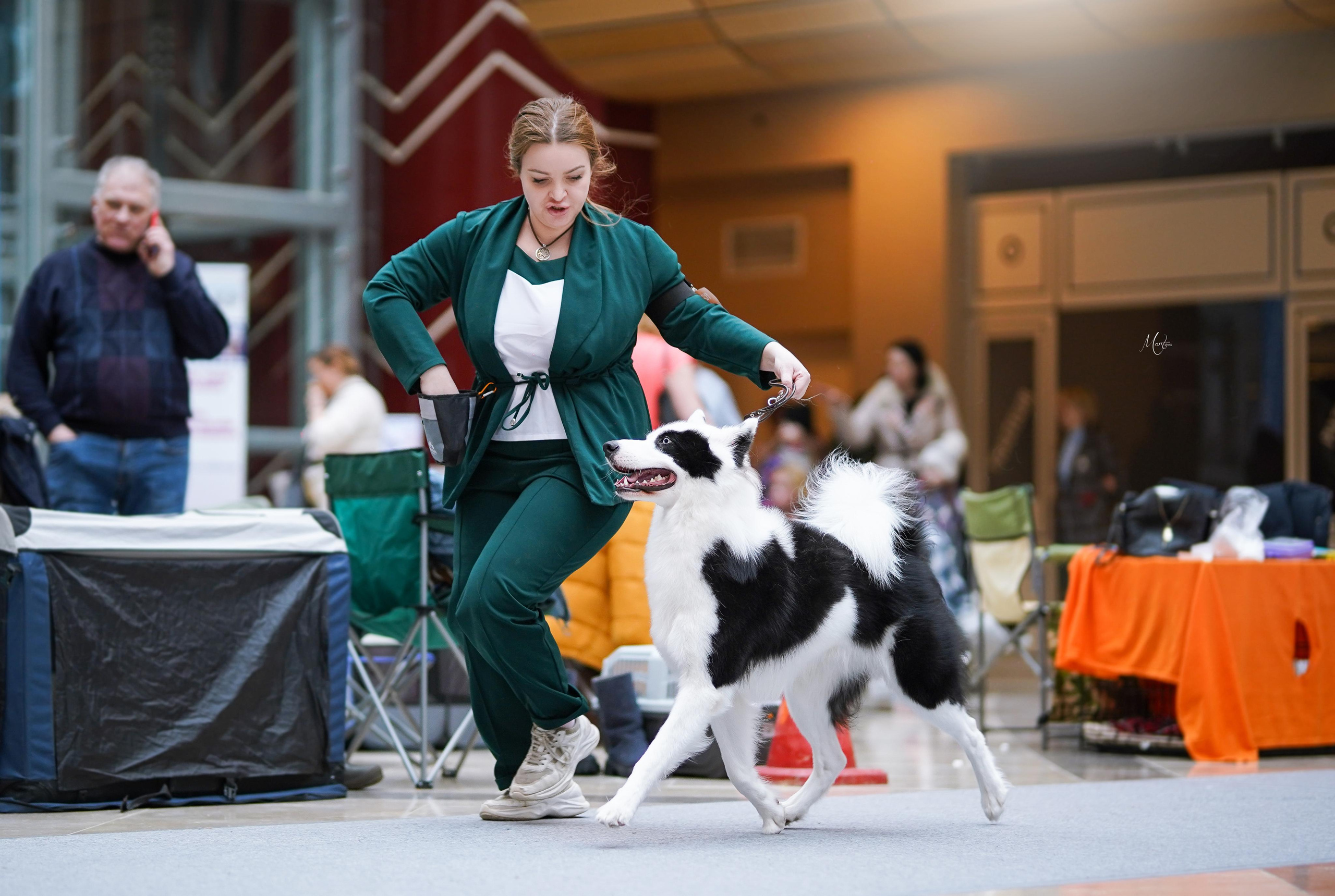 Выставки 2023. Фотограф-анималист в Санкт-Петербурге Яна Мартынова