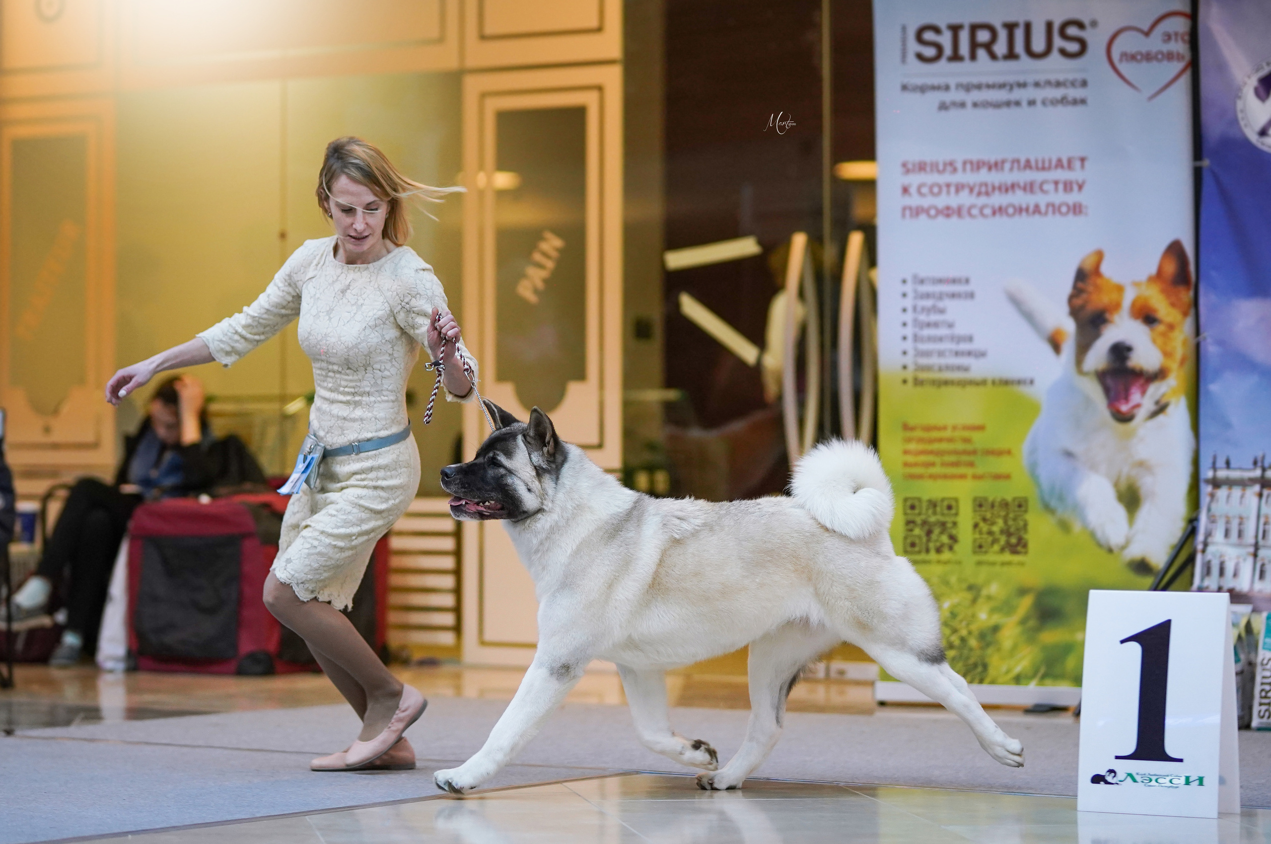 Выставки 2023. Фотограф-анималист в Санкт-Петербурге Яна Мартынова