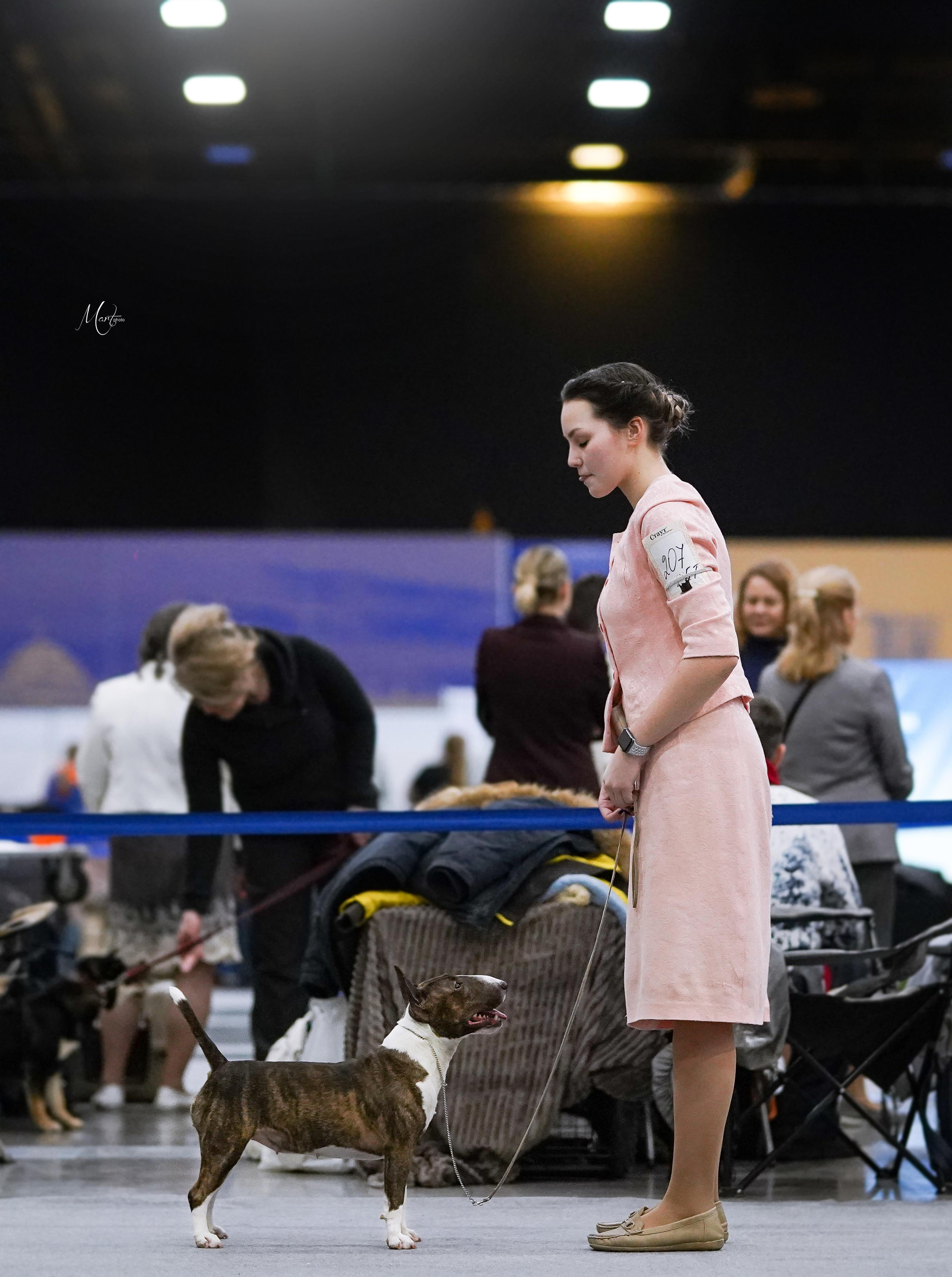 Выставки 2023. Фотограф-анималист в Санкт-Петербурге Яна Мартынова