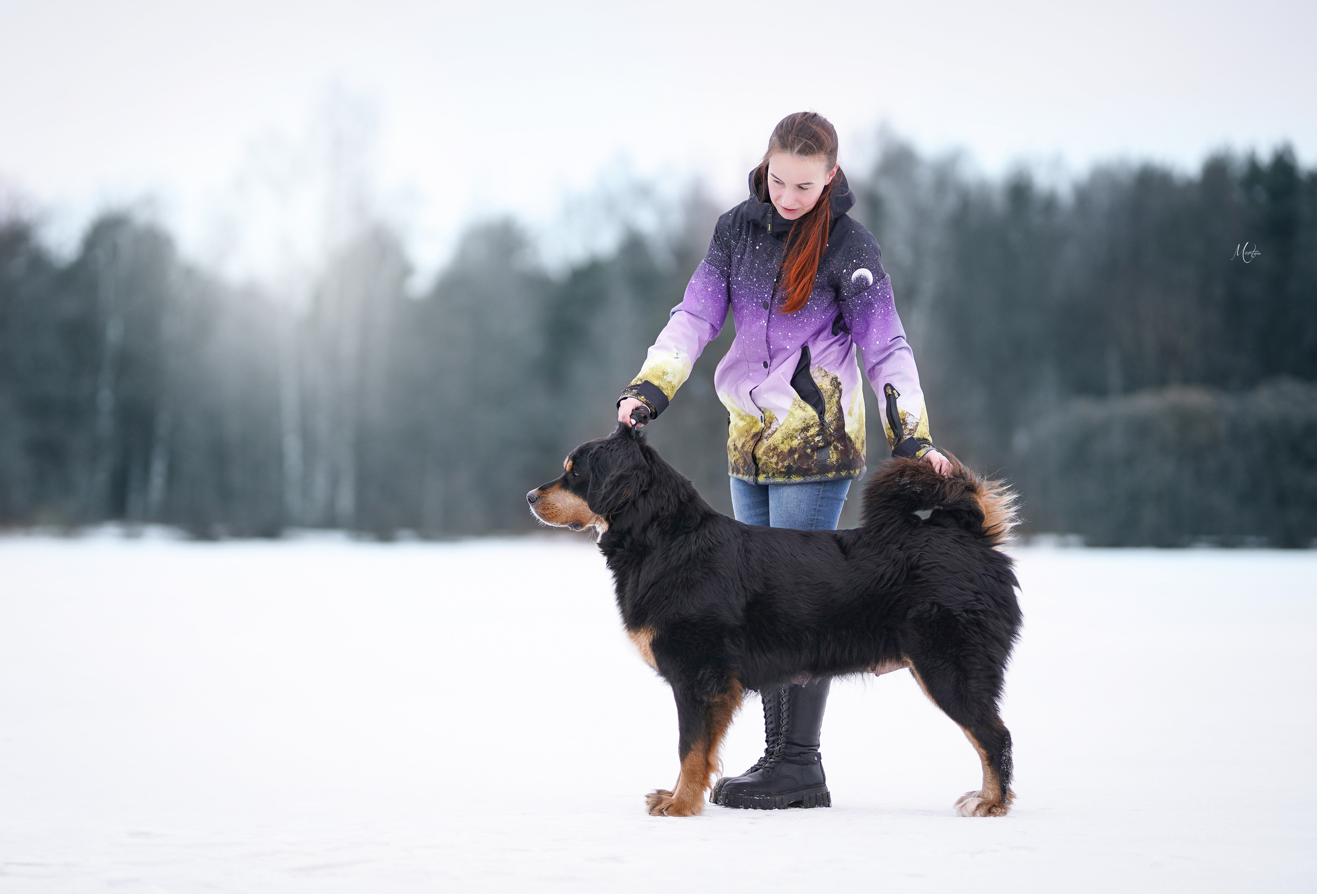 Экстерьерная съемка 2023. Фотограф-анималист в Санкт-Петербурге Яна Мартынова