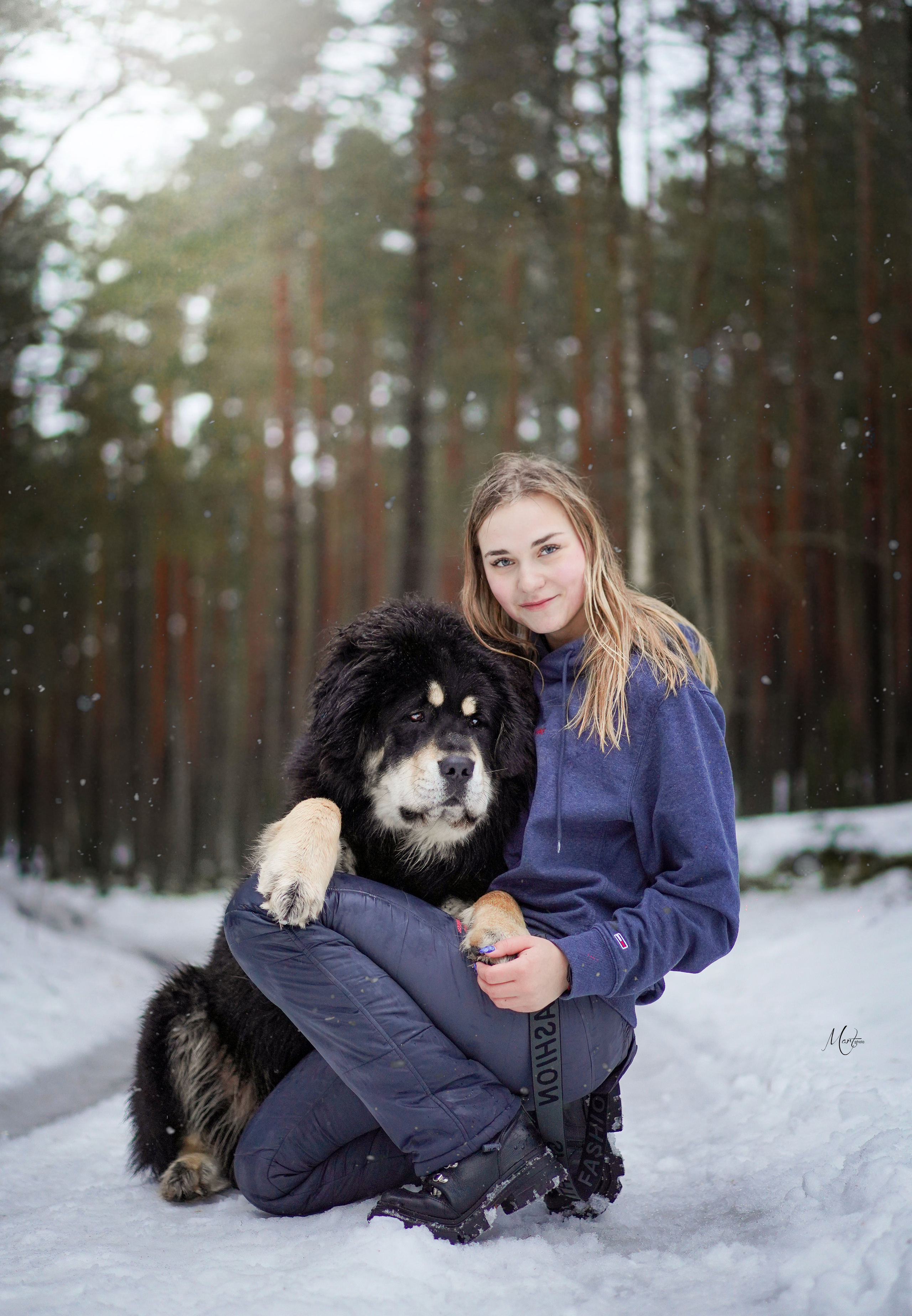 Тибеты. Фотограф-анималист в Санкт-Петербурге Яна Мартынова