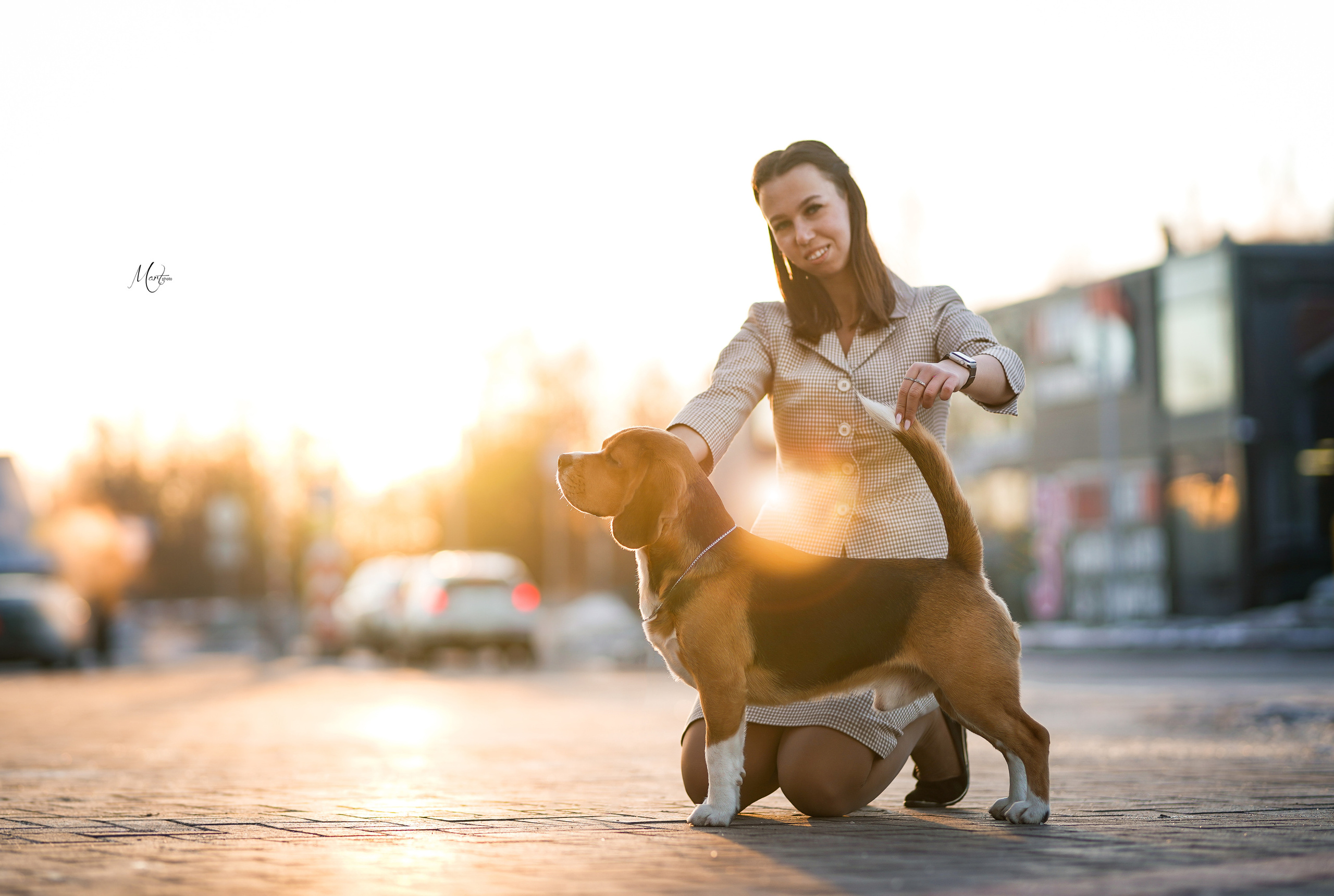 Экстерьерная съемка 2023. Фотограф-анималист в Санкт-Петербурге Яна Мартынова
