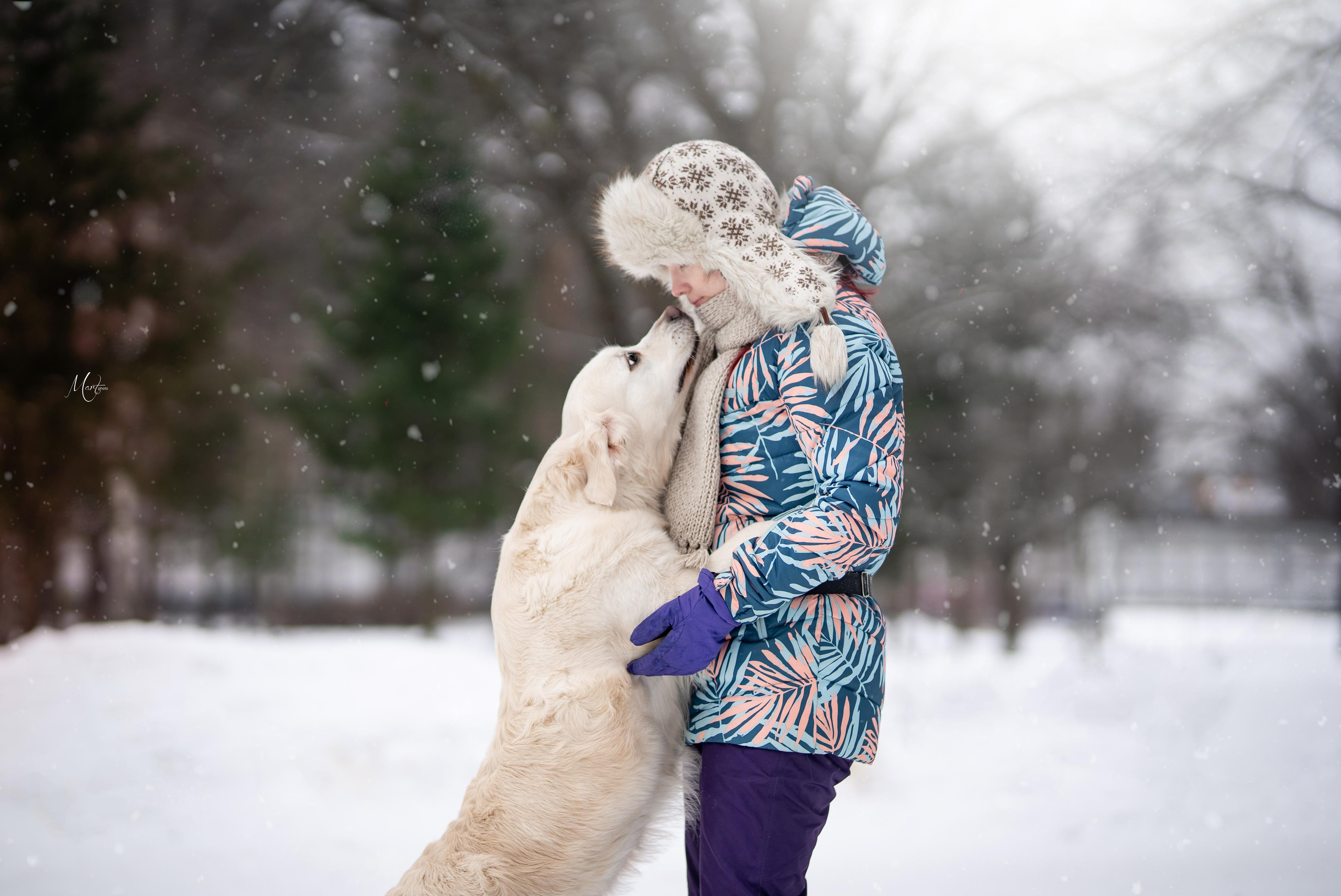 Татьяна и голдены. Фотограф-анималист в Санкт-Петербурге Яна Мартынова
