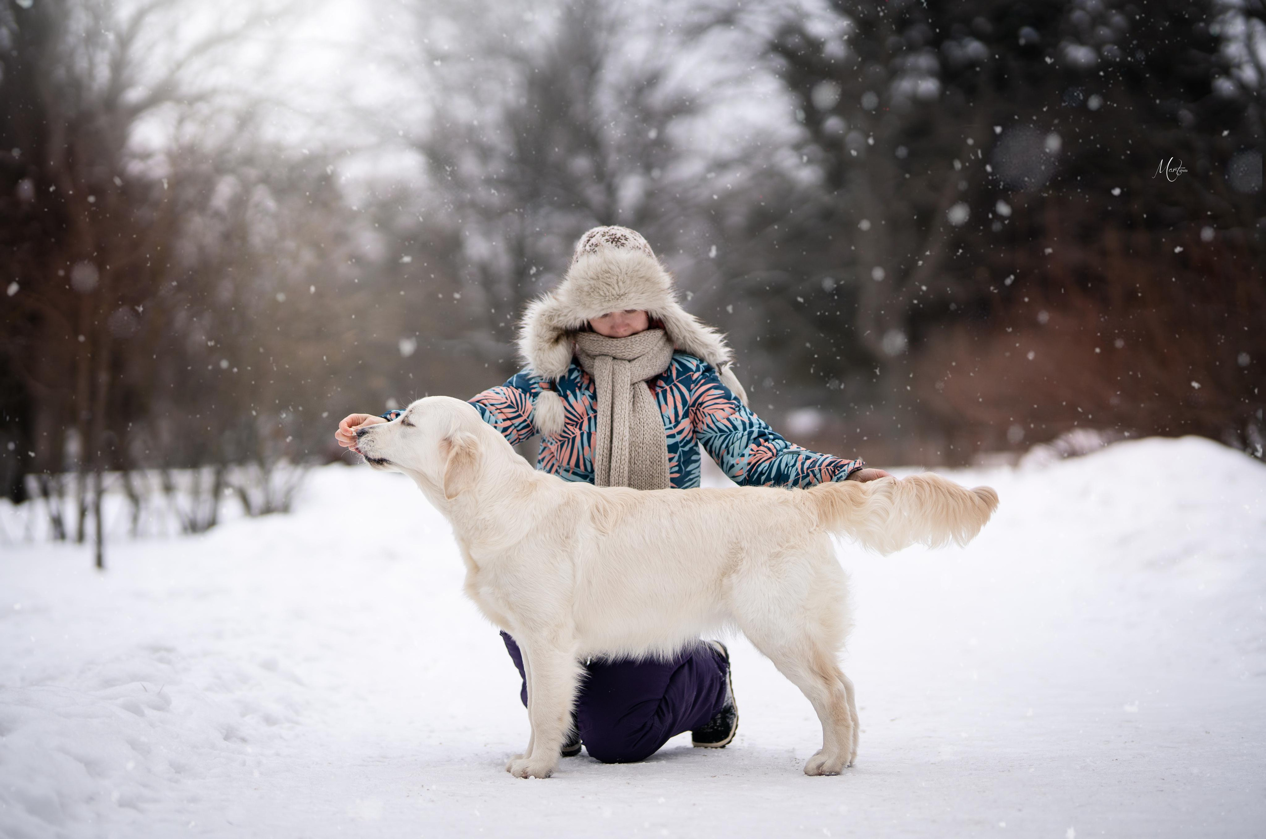 Экстерьерная съемка 2023. Фотограф-анималист в Санкт-Петербурге Яна Мартынова