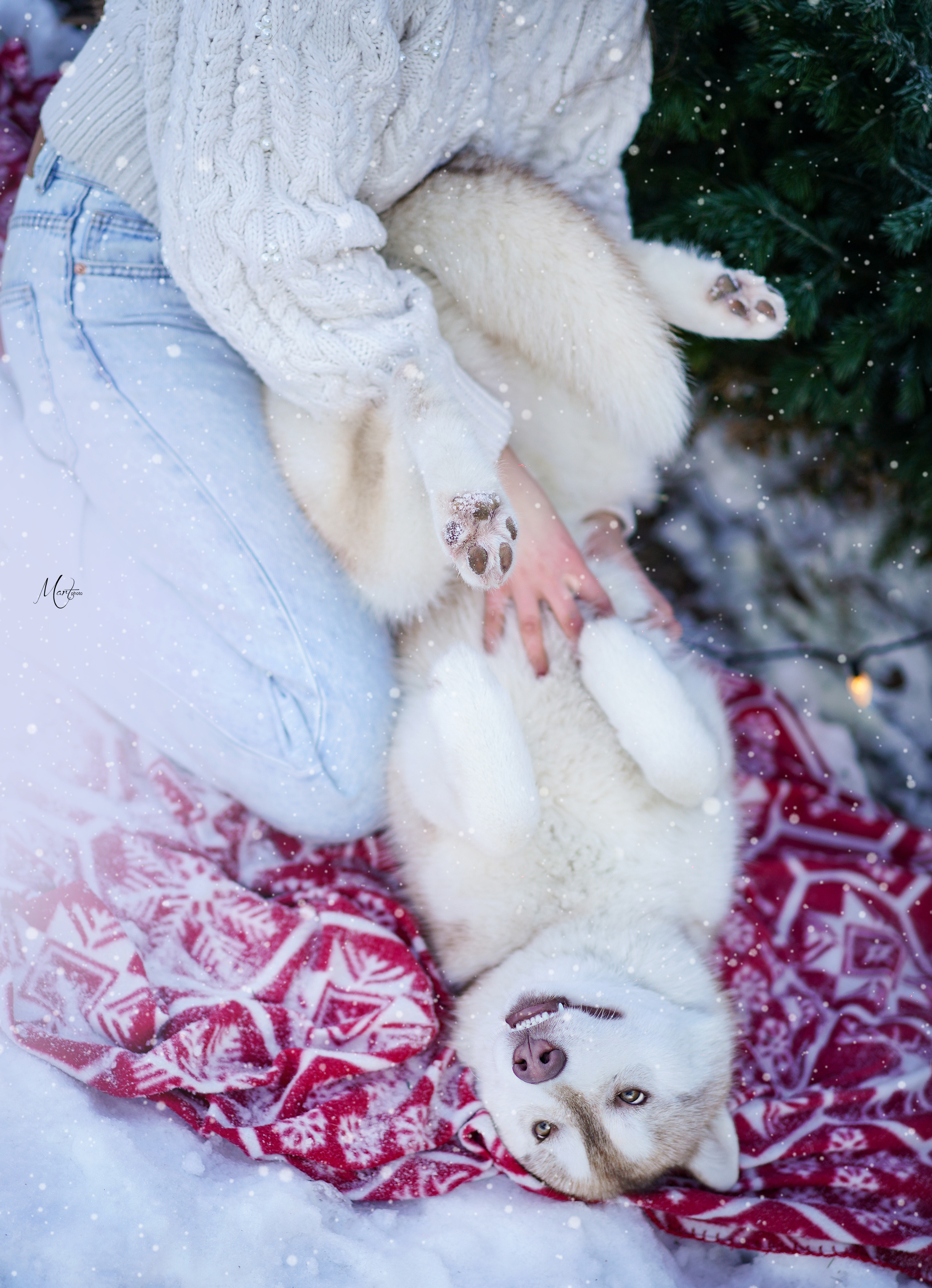 Саша и хаски зима. Фотограф-анималист в Санкт-Петербурге Яна Мартынова
