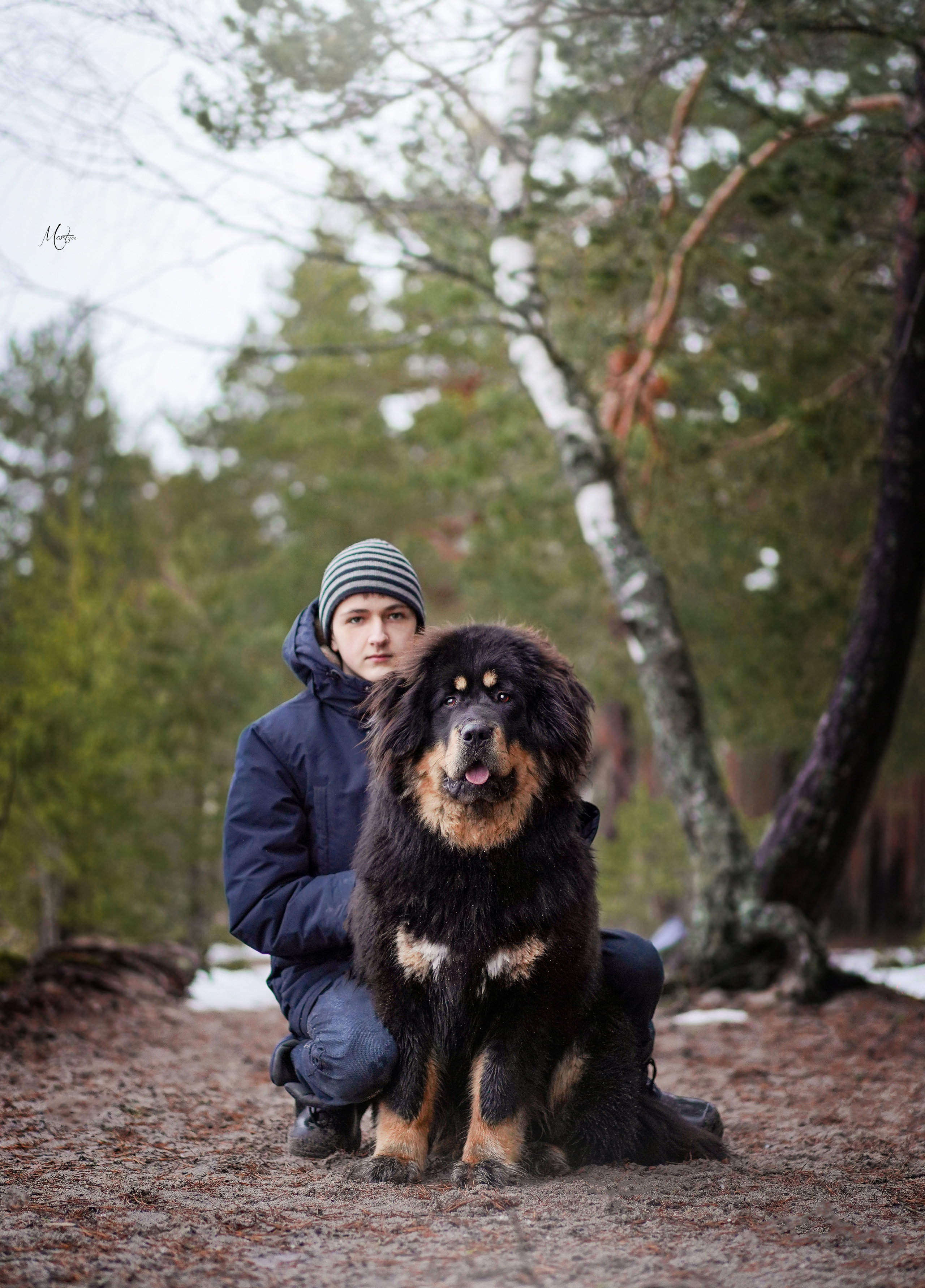 Тибеты. Фотограф-анималист в Санкт-Петербурге Яна Мартынова