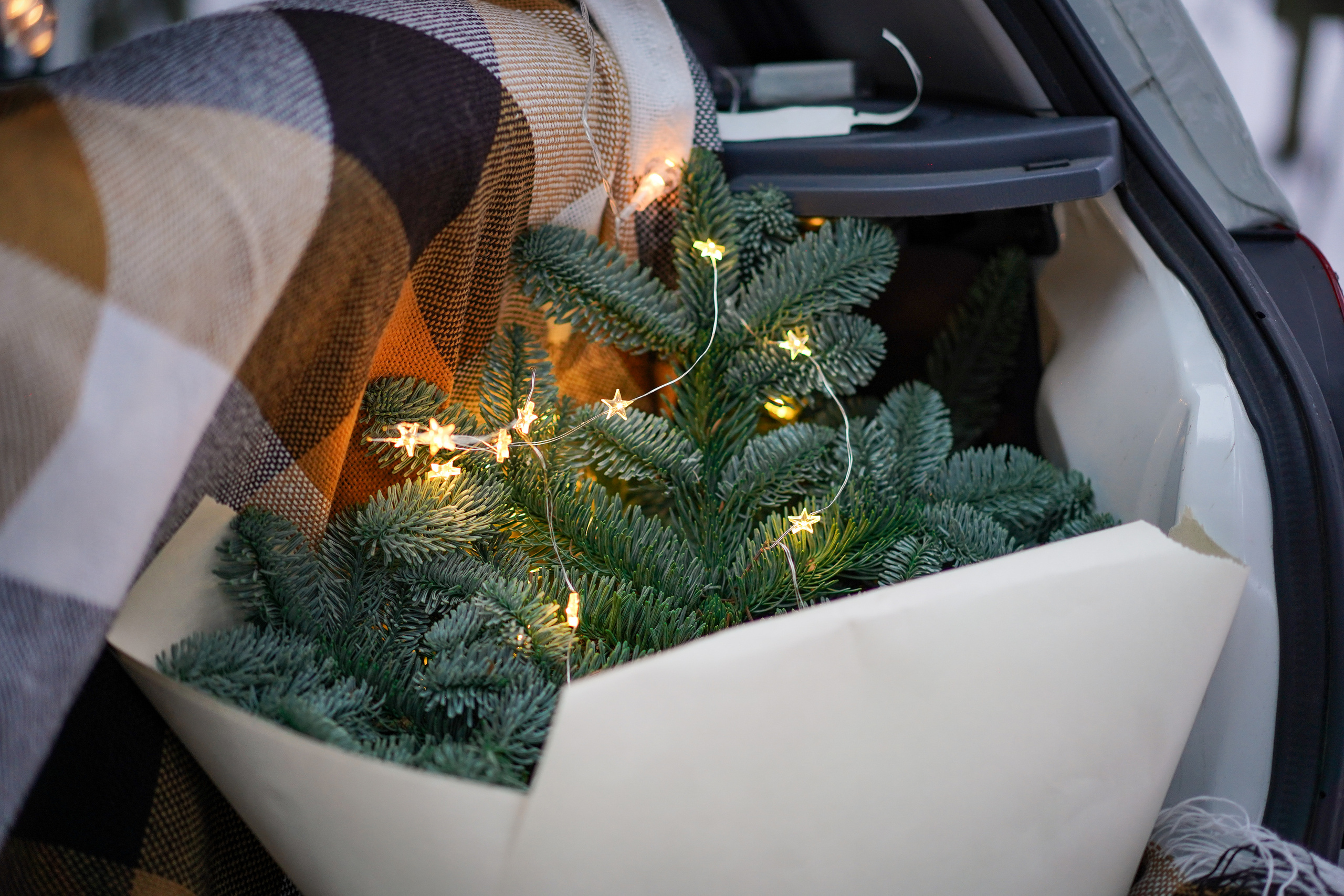 Настя и Арчи. Фотограф-анималист в Санкт-Петербурге Яна Мартынова