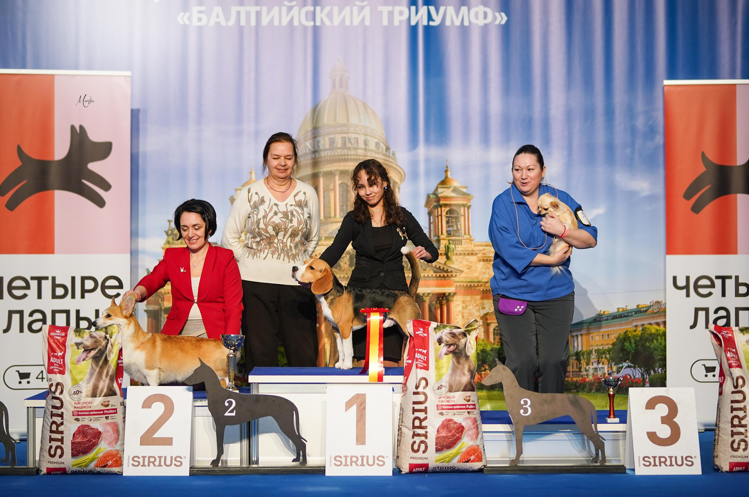 Выставки 2023. Фотограф-анималист в Санкт-Петербурге Яна Мартынова