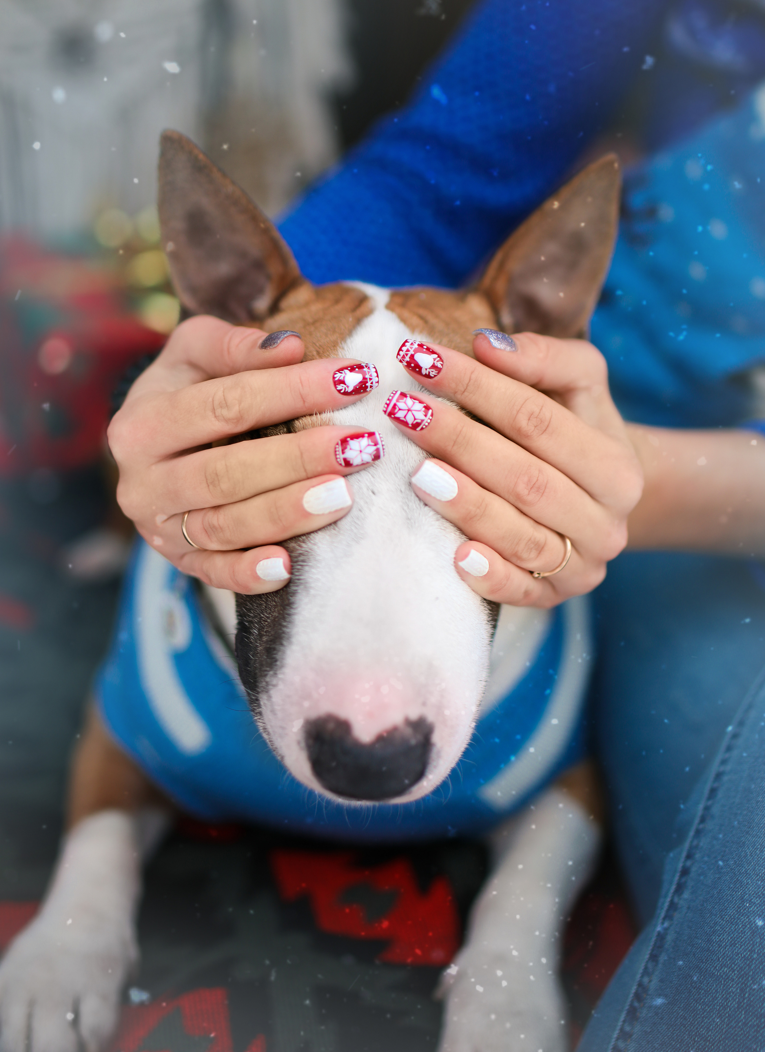 Эффи и Юни. Фотограф-анималист в Санкт-Петербурге Яна Мартынова