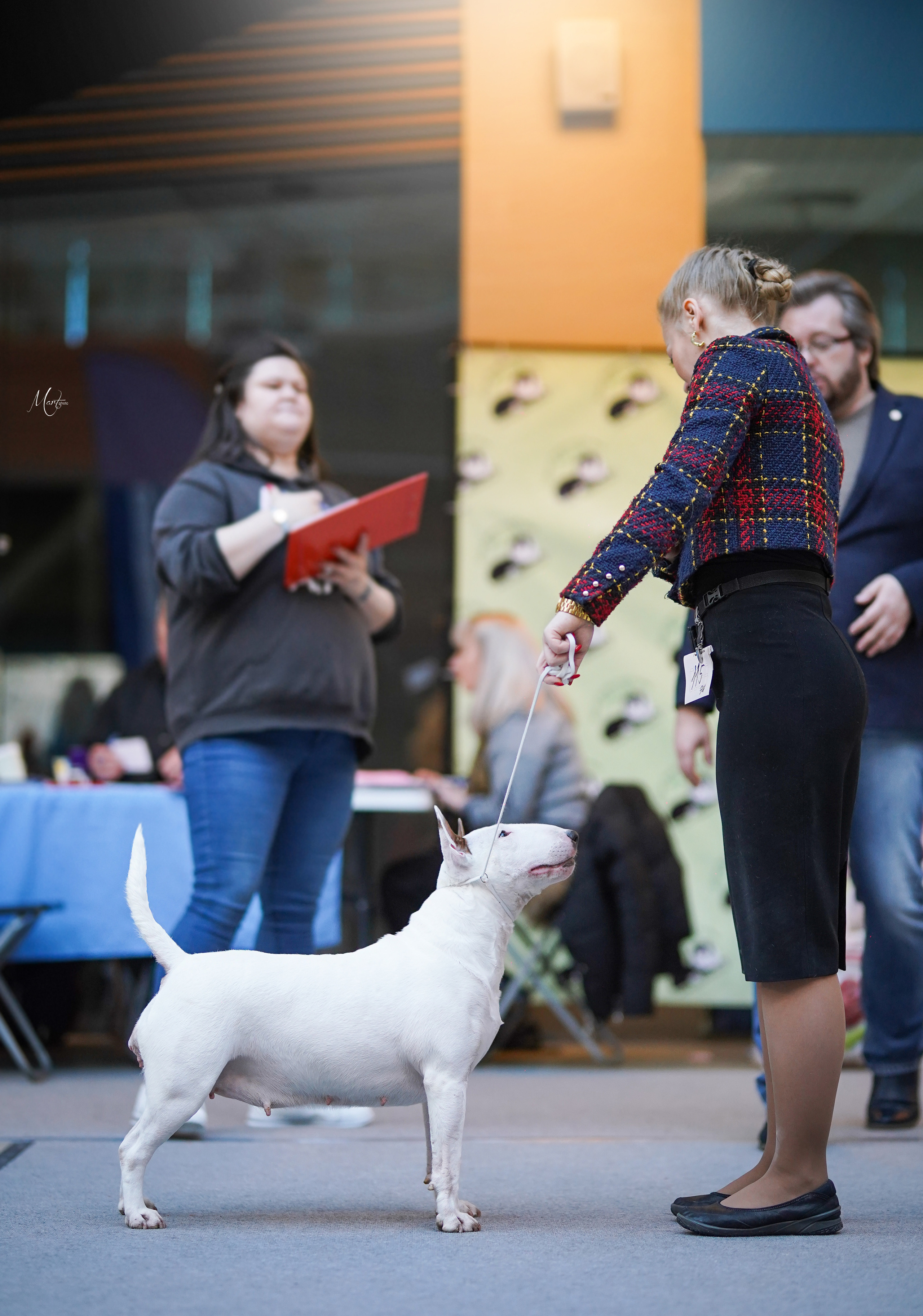 Выставки 2023. Фотограф-анималист в Санкт-Петербурге Яна Мартынова
