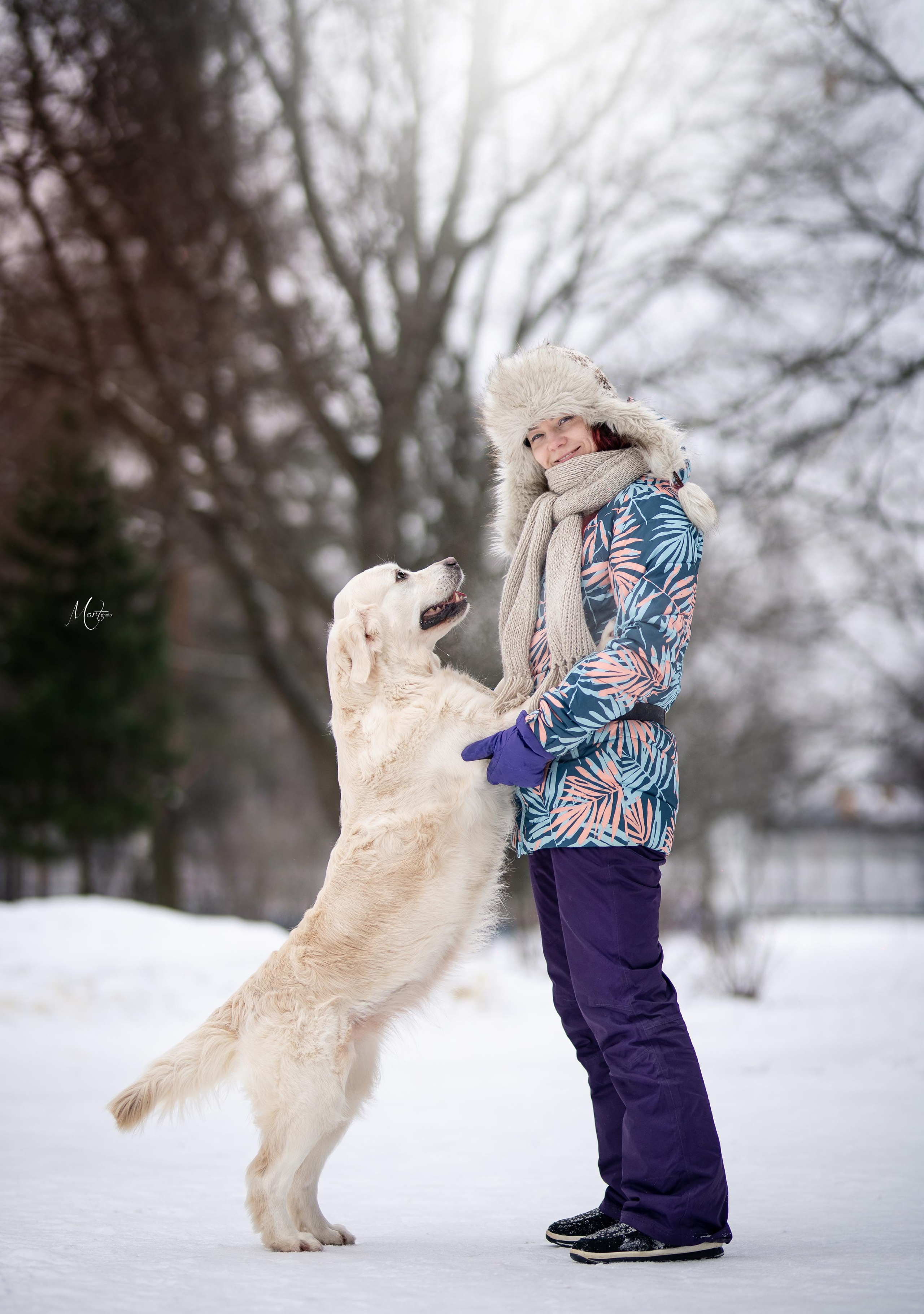 Татьяна и голдены. Фотограф-анималист в Санкт-Петербурге Яна Мартынова