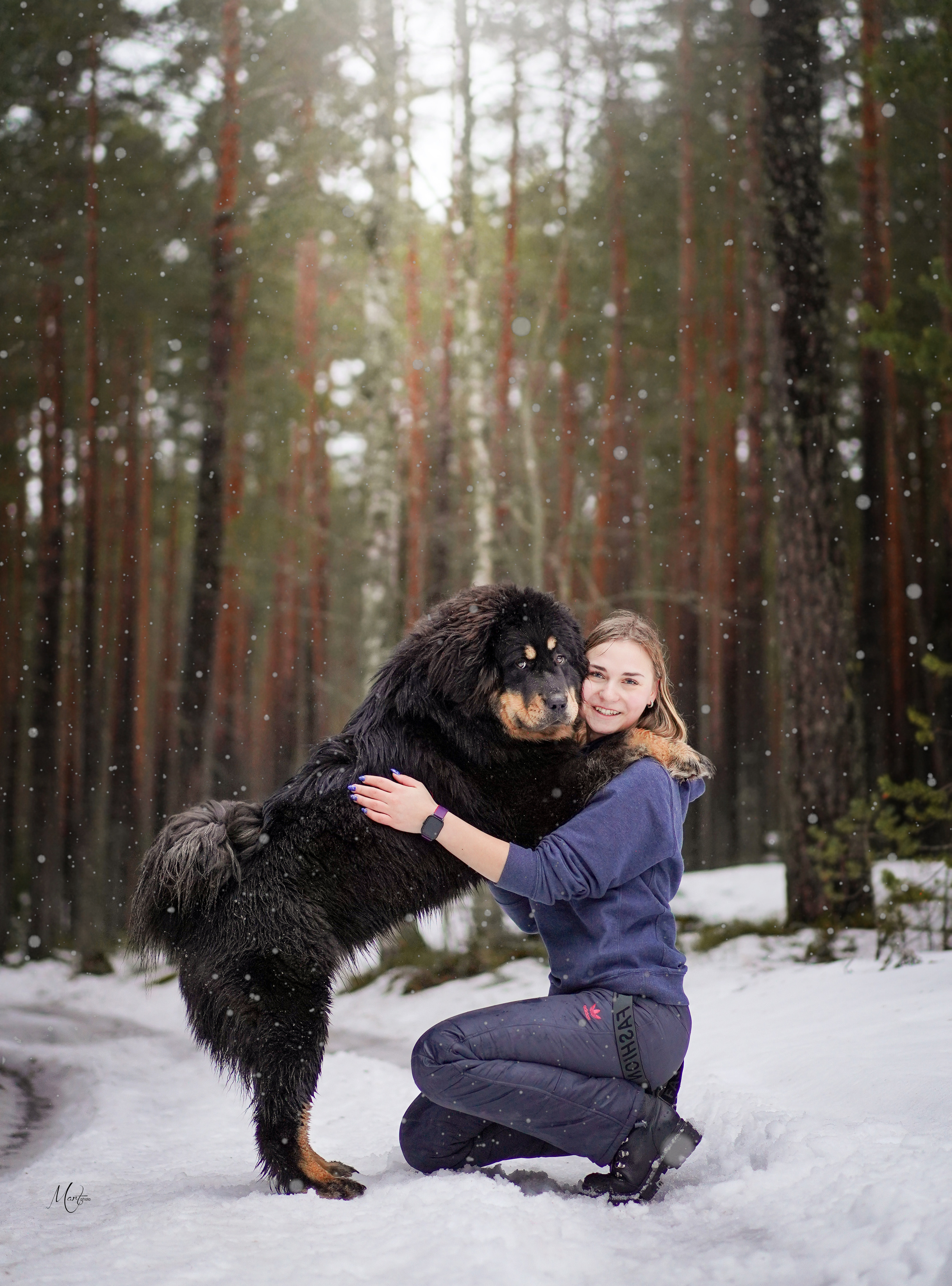 Тибеты. Фотограф-анималист в Санкт-Петербурге Яна Мартынова
