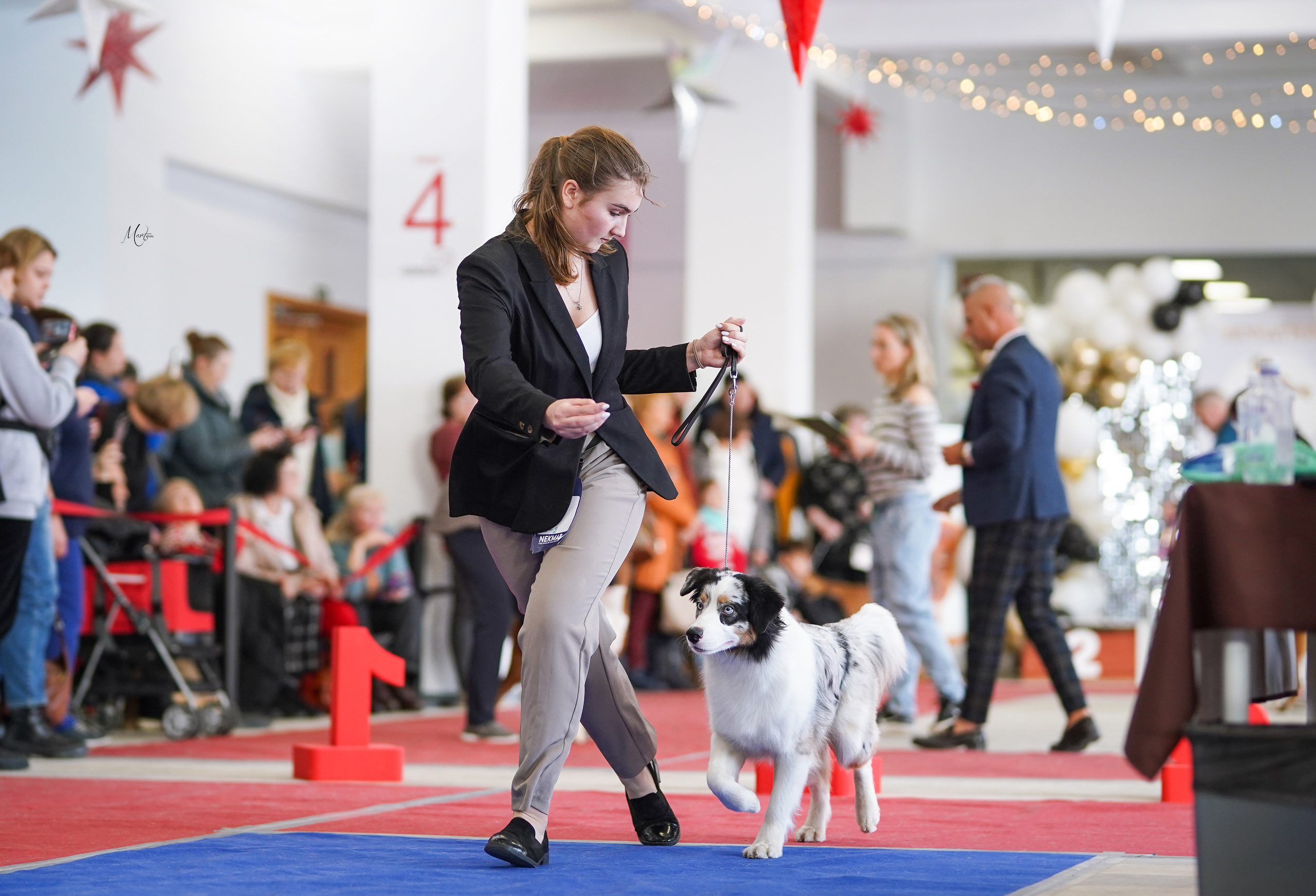 Выставки 2023. Фотограф-анималист в Санкт-Петербурге Яна Мартынова