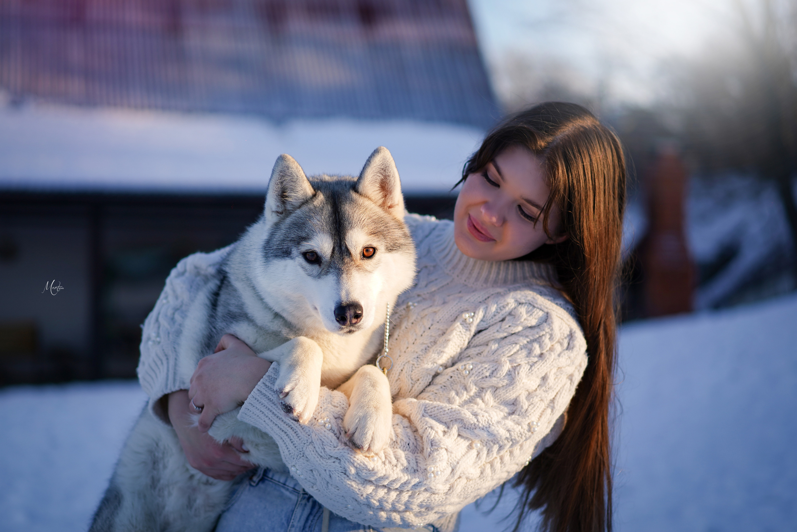 Саша и хаски зима. Фотограф-анималист в Санкт-Петербурге Яна Мартынова