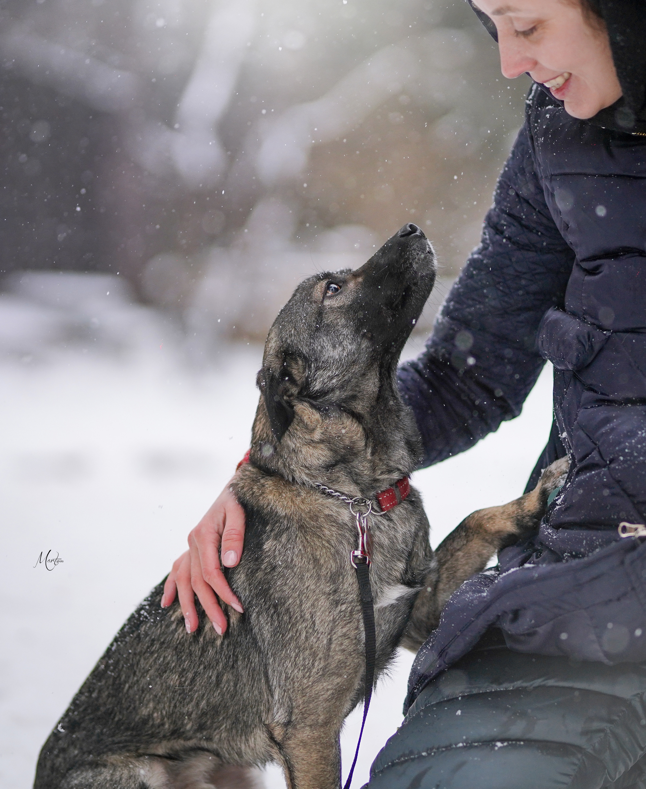 Ищут дом. Фотограф-анималист в Санкт-Петербурге Яна Мартынова