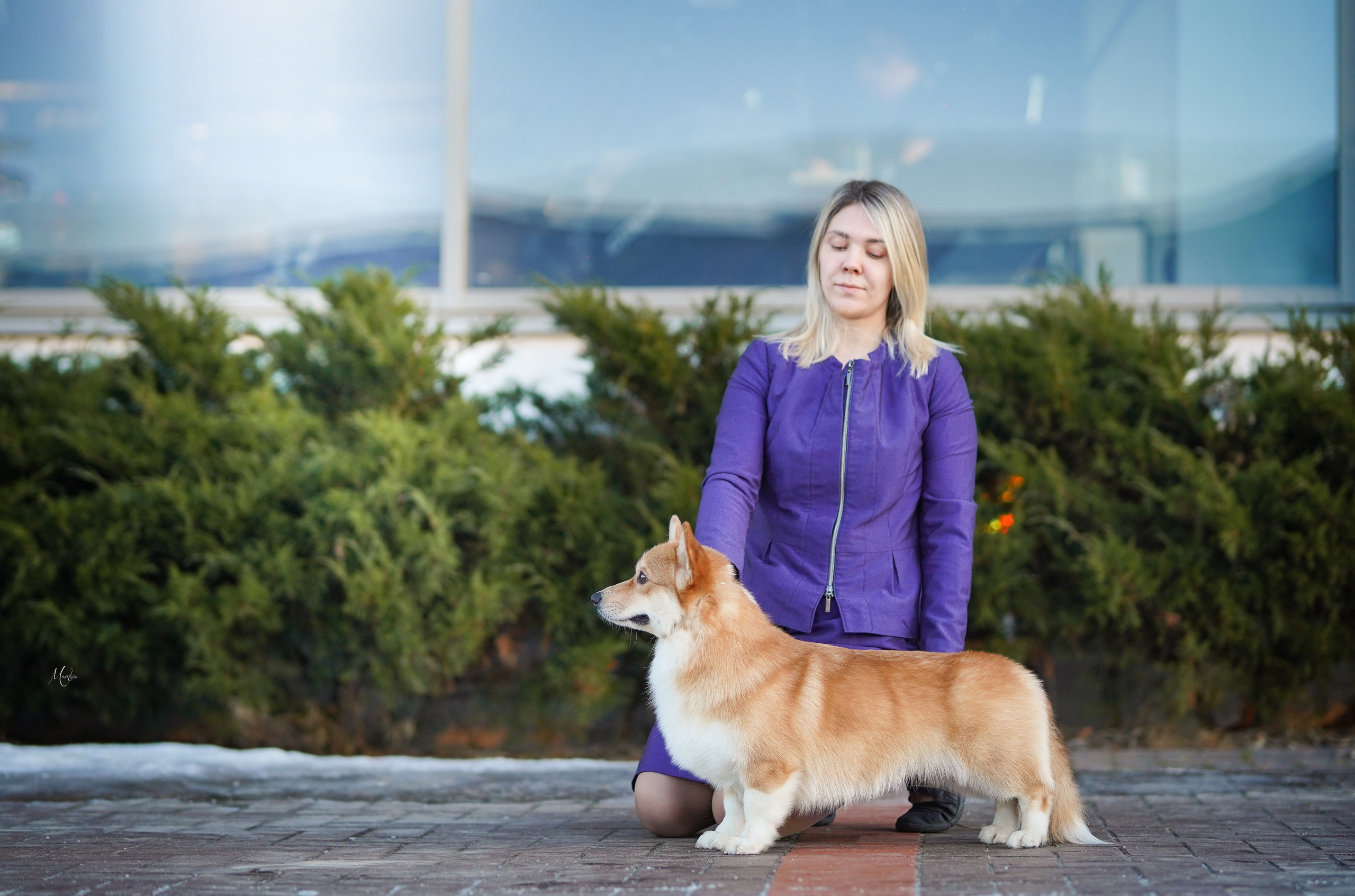 Выставки 2023. Фотограф-анималист в Санкт-Петербурге Яна Мартынова