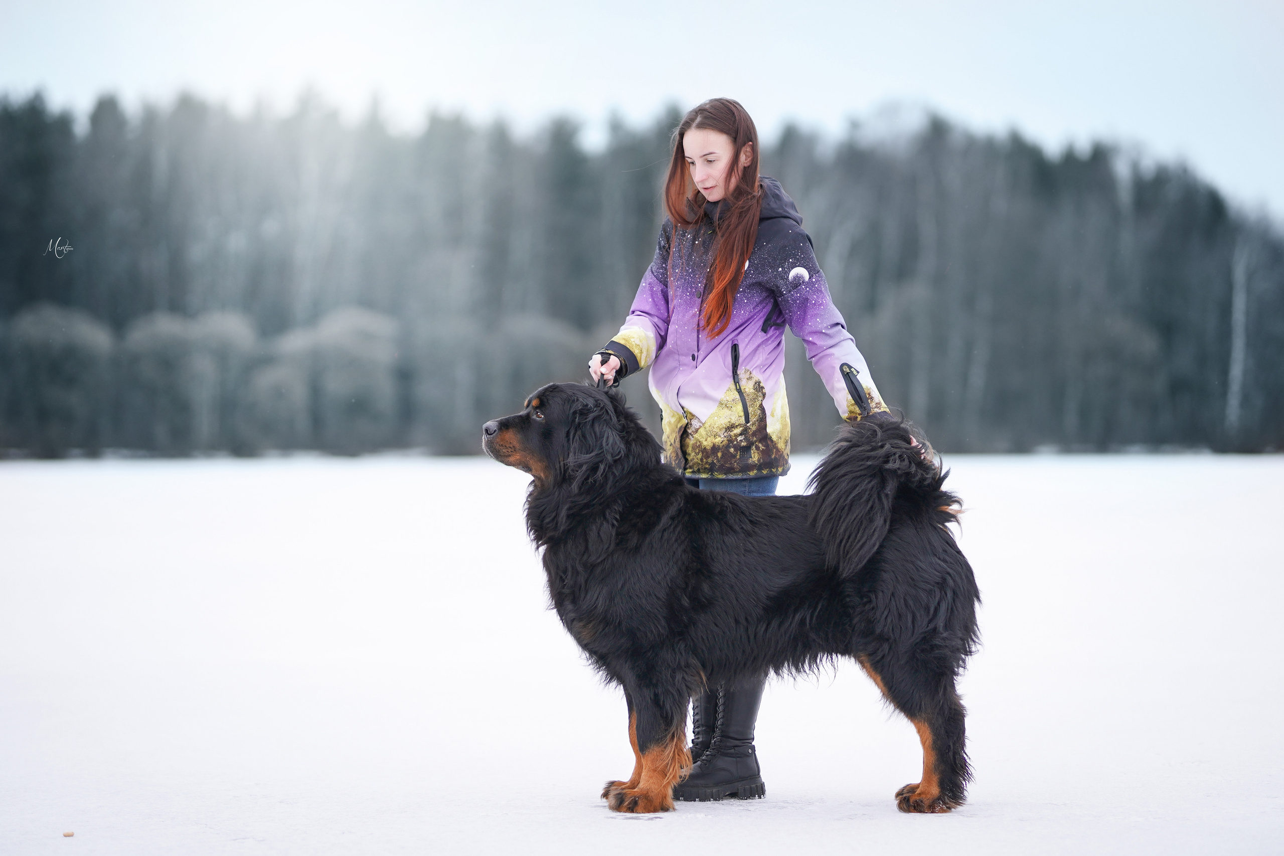 Экстерьерная съемка 2023. Фотограф-анималист в Санкт-Петербурге Яна Мартынова