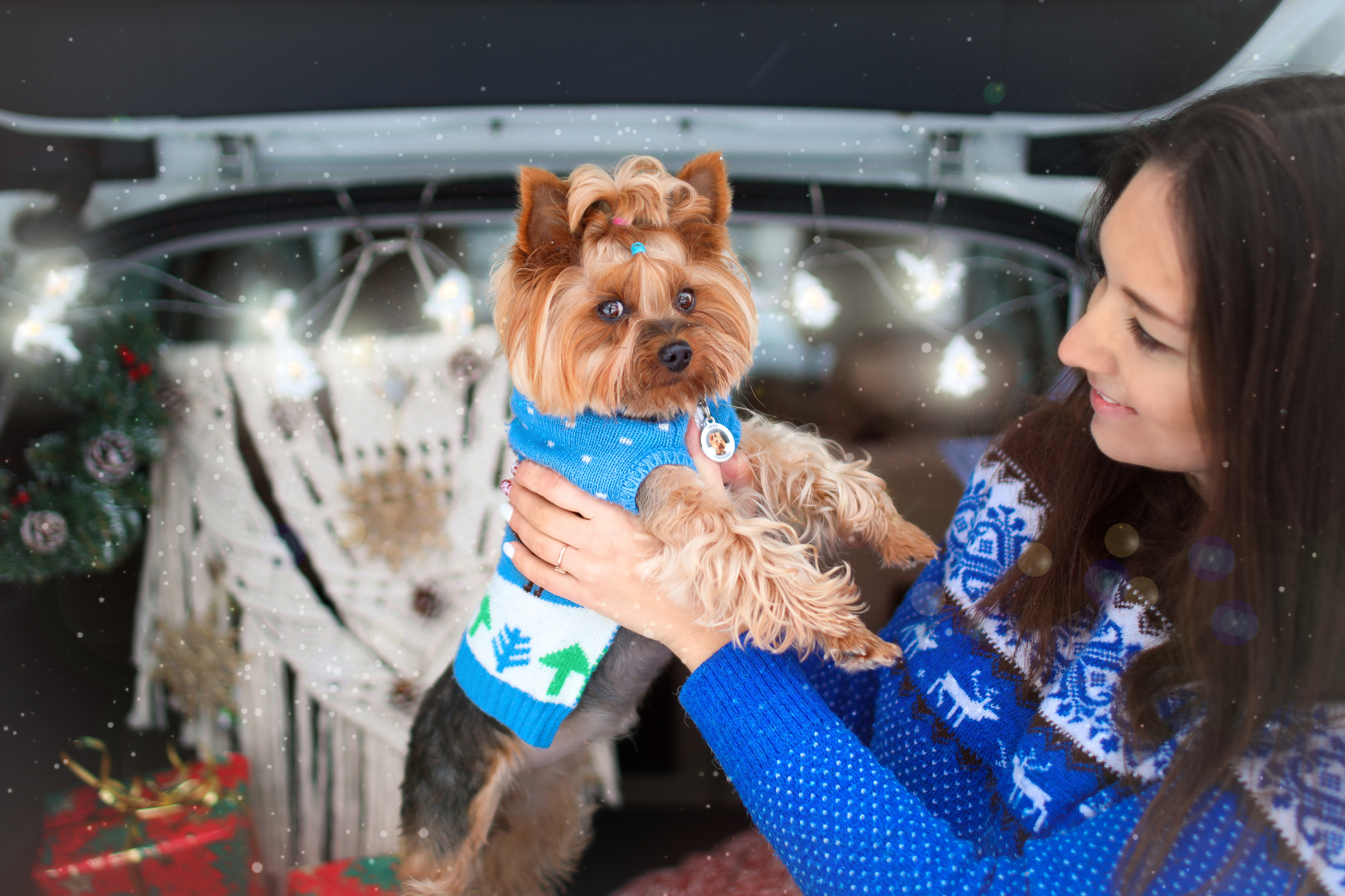 Эффи и Юни. Фотограф-анималист в Санкт-Петербурге Яна Мартынова