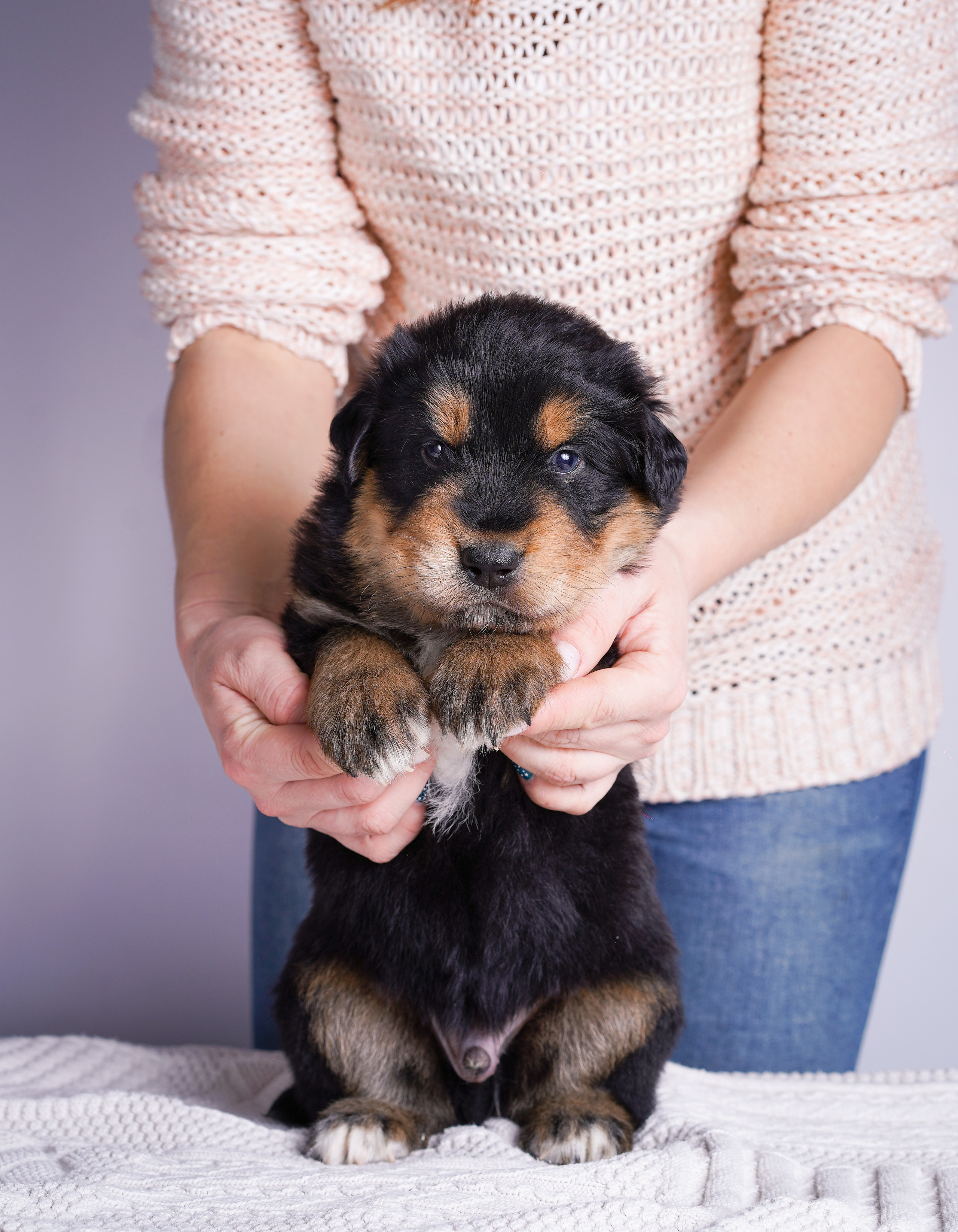 Щенки хотошо. Фотограф-анималист в Санкт-Петербурге Яна Мартынова