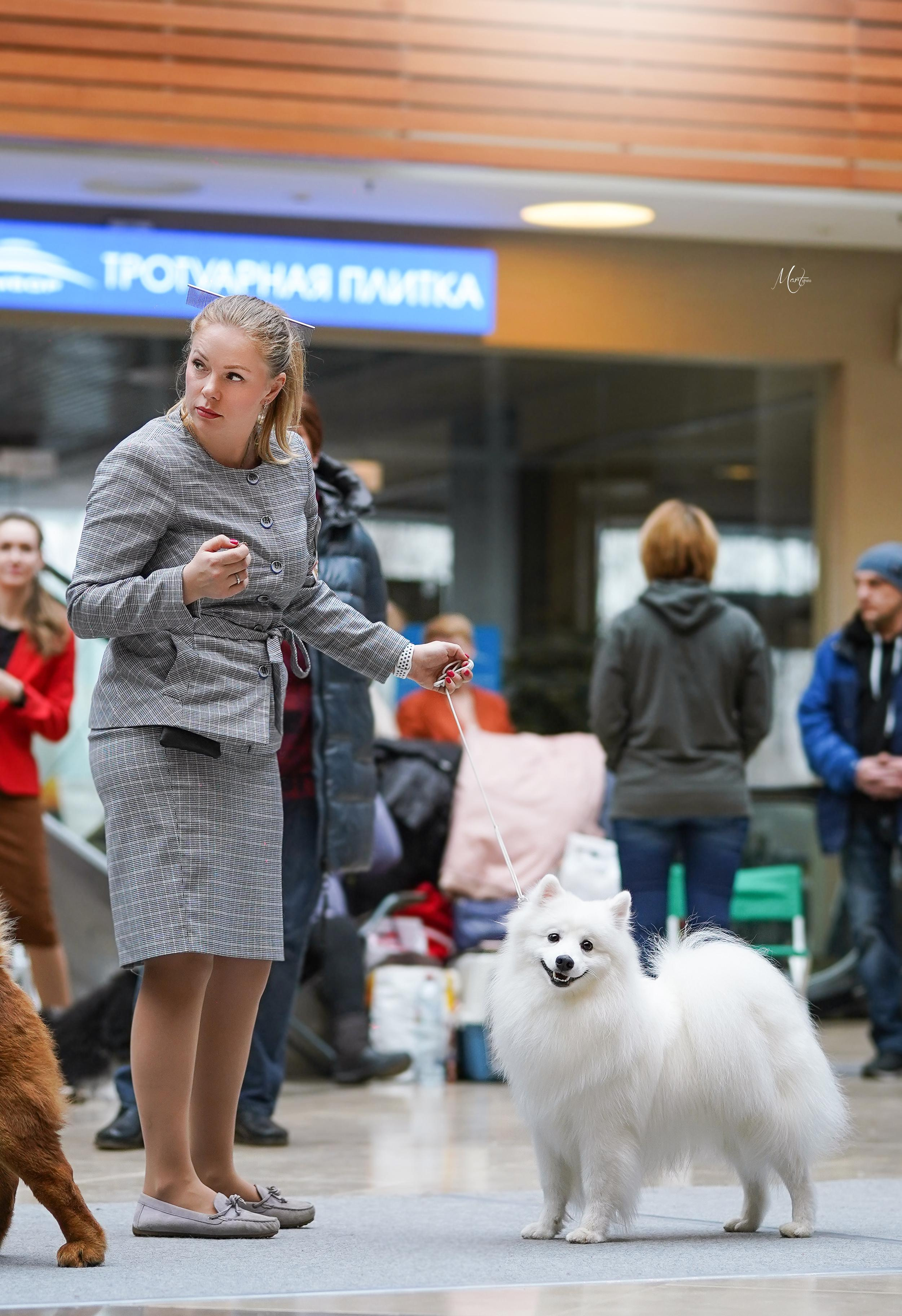 Выставки 2023. Фотограф-анималист в Санкт-Петербурге Яна Мартынова