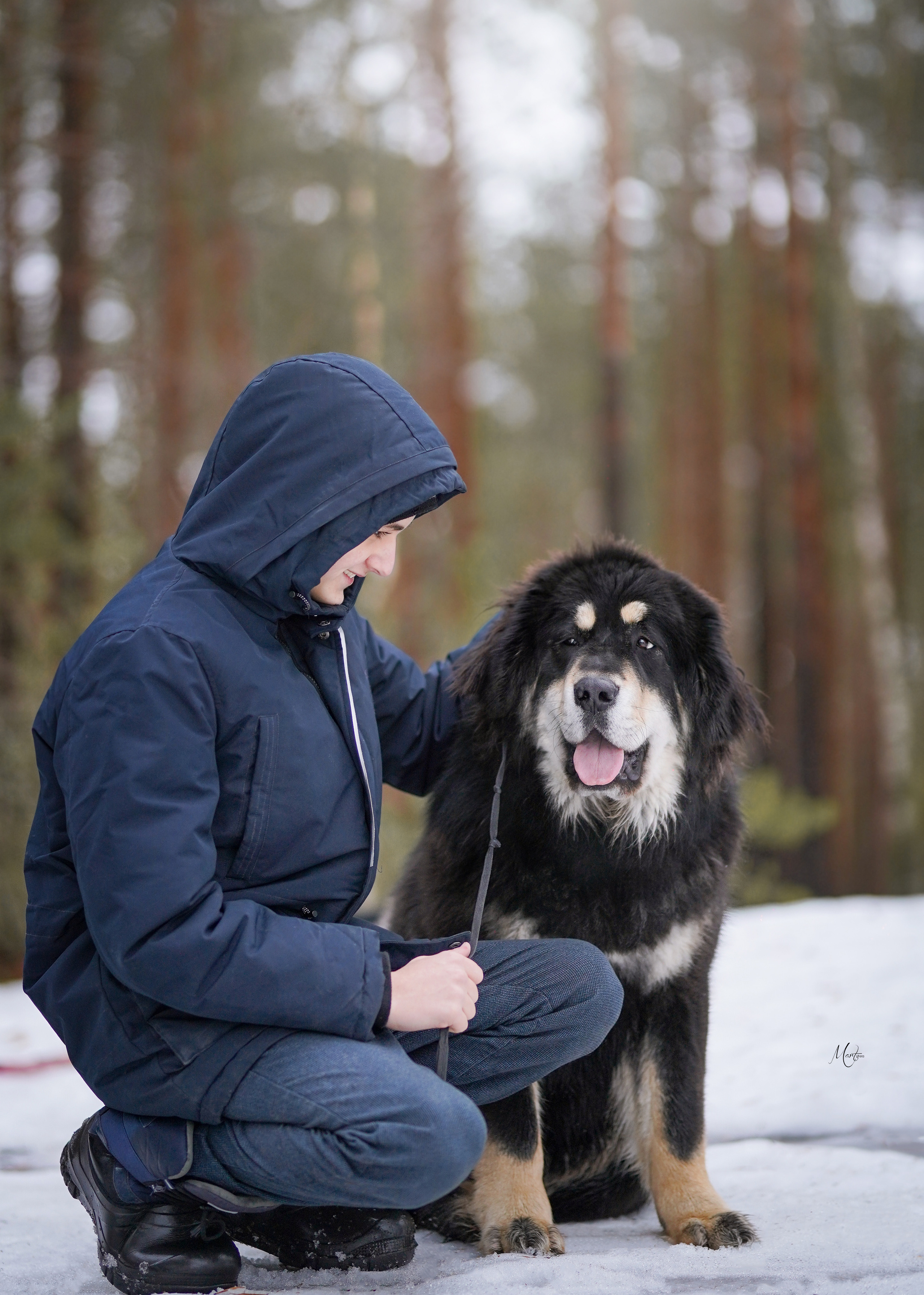 Тибеты. Фотограф-анималист в Санкт-Петербурге Яна Мартынова