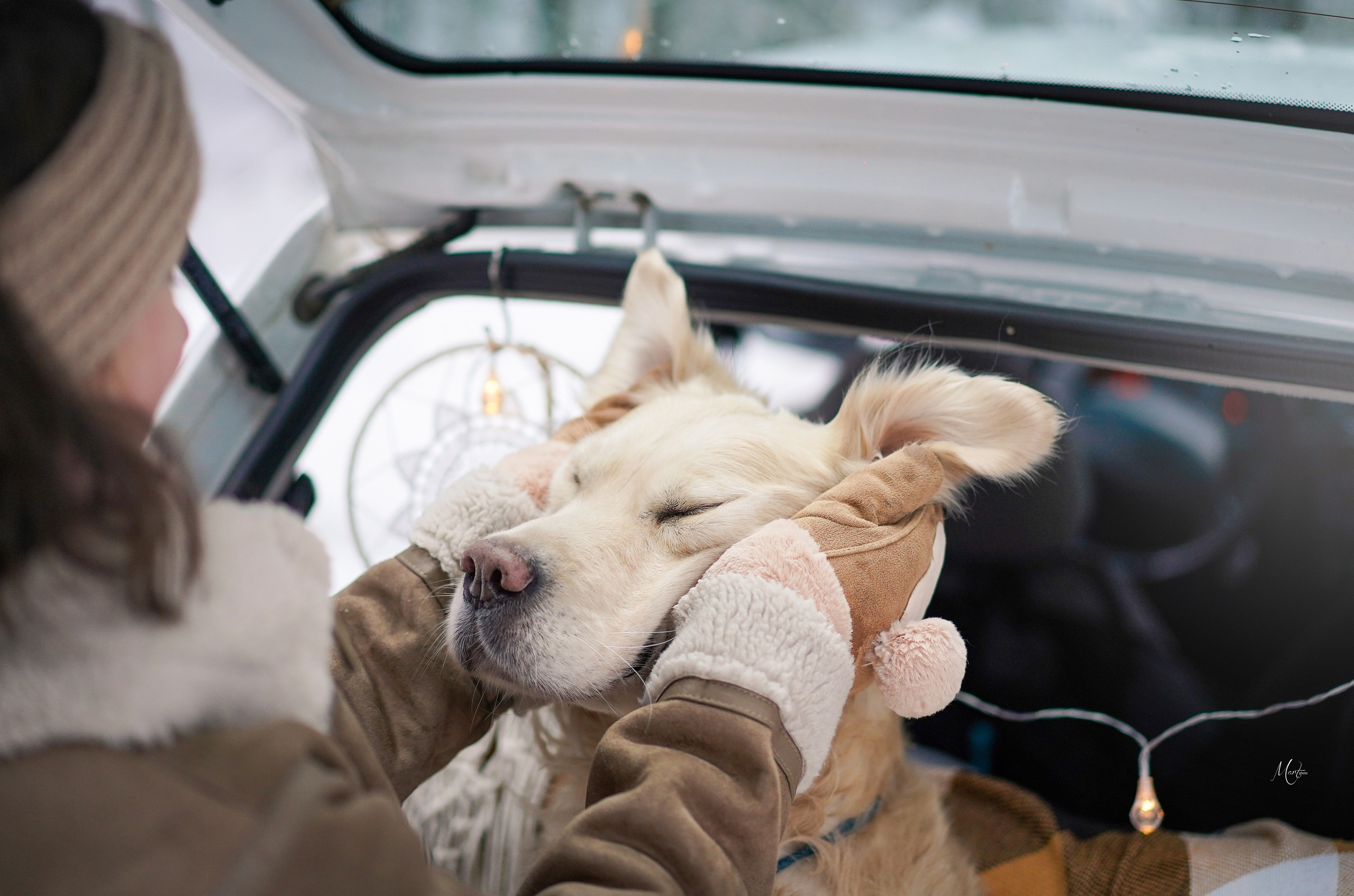 Услуги. Фотограф-анималист в Санкт-Петербурге Яна Мартынова