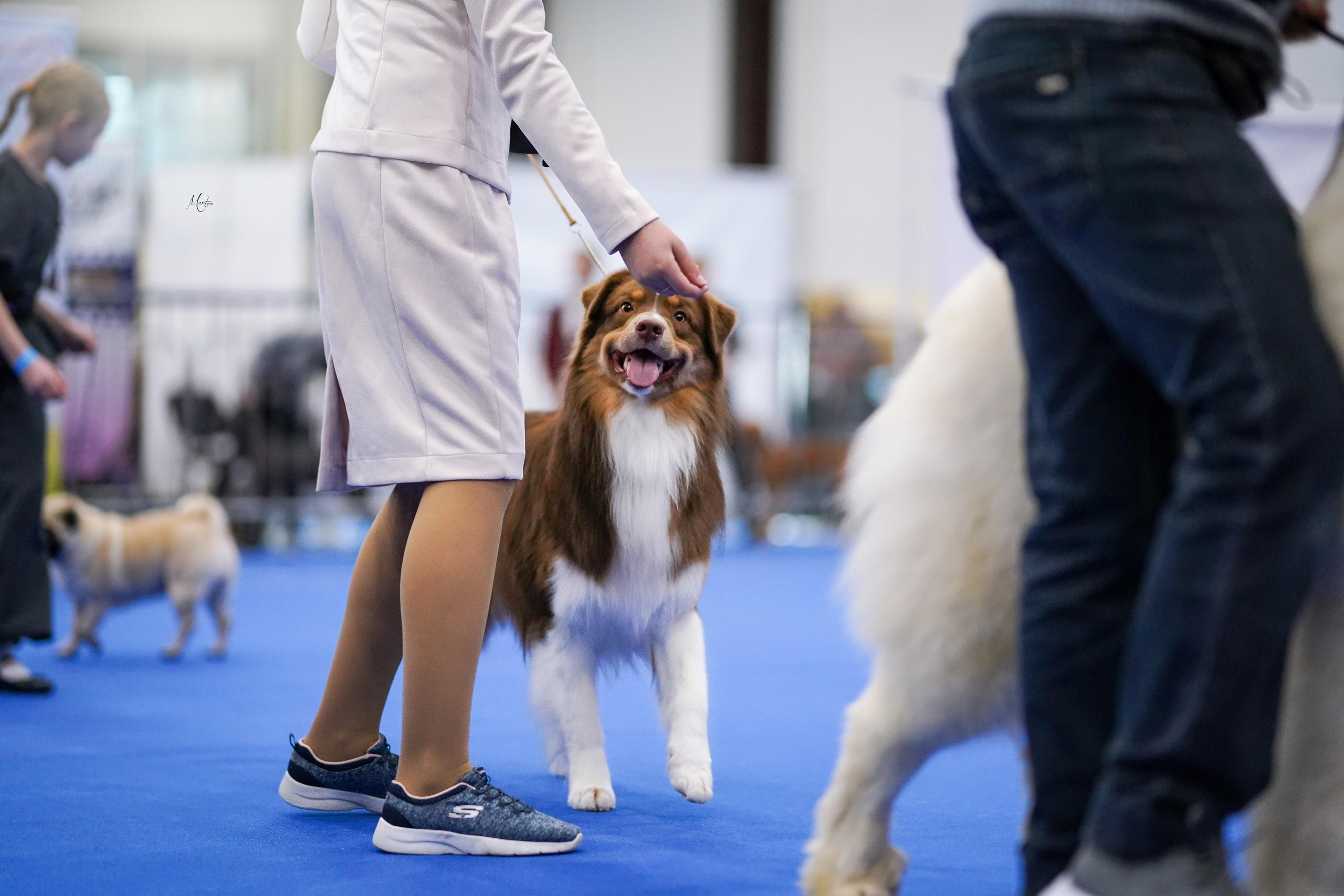 Выставки 2023. Фотограф-анималист в Санкт-Петербурге Яна Мартынова