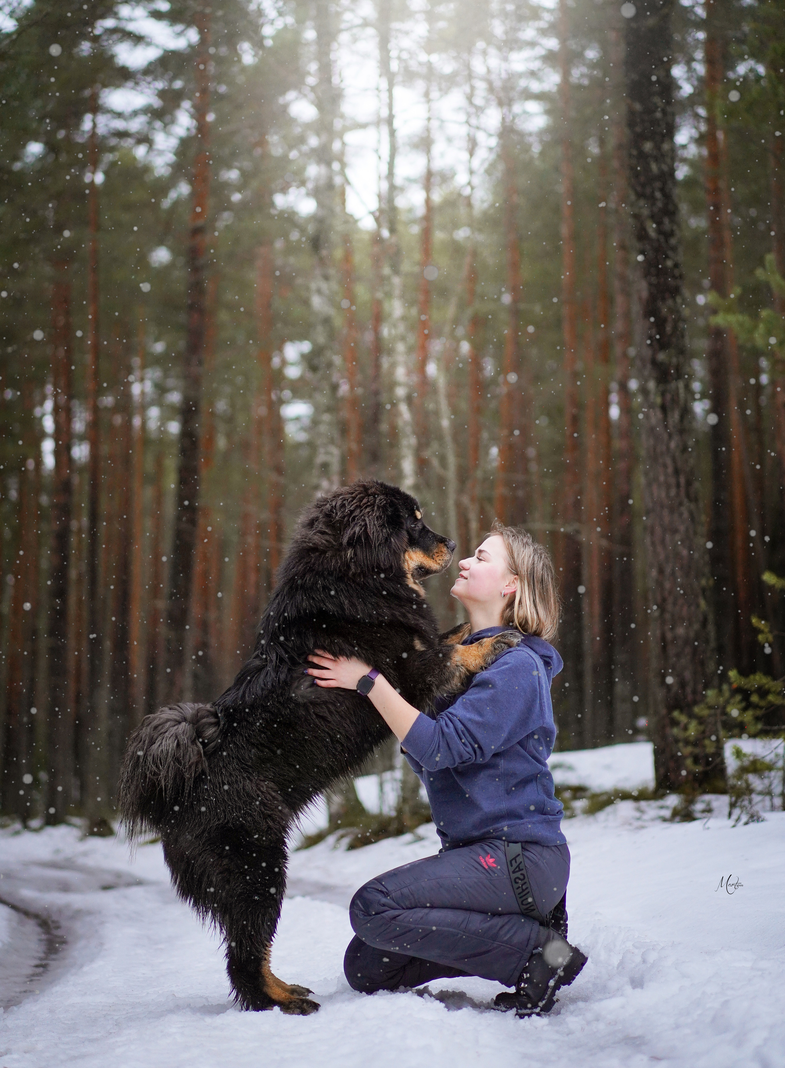 Тибеты. Фотограф-анималист в Санкт-Петербурге Яна Мартынова