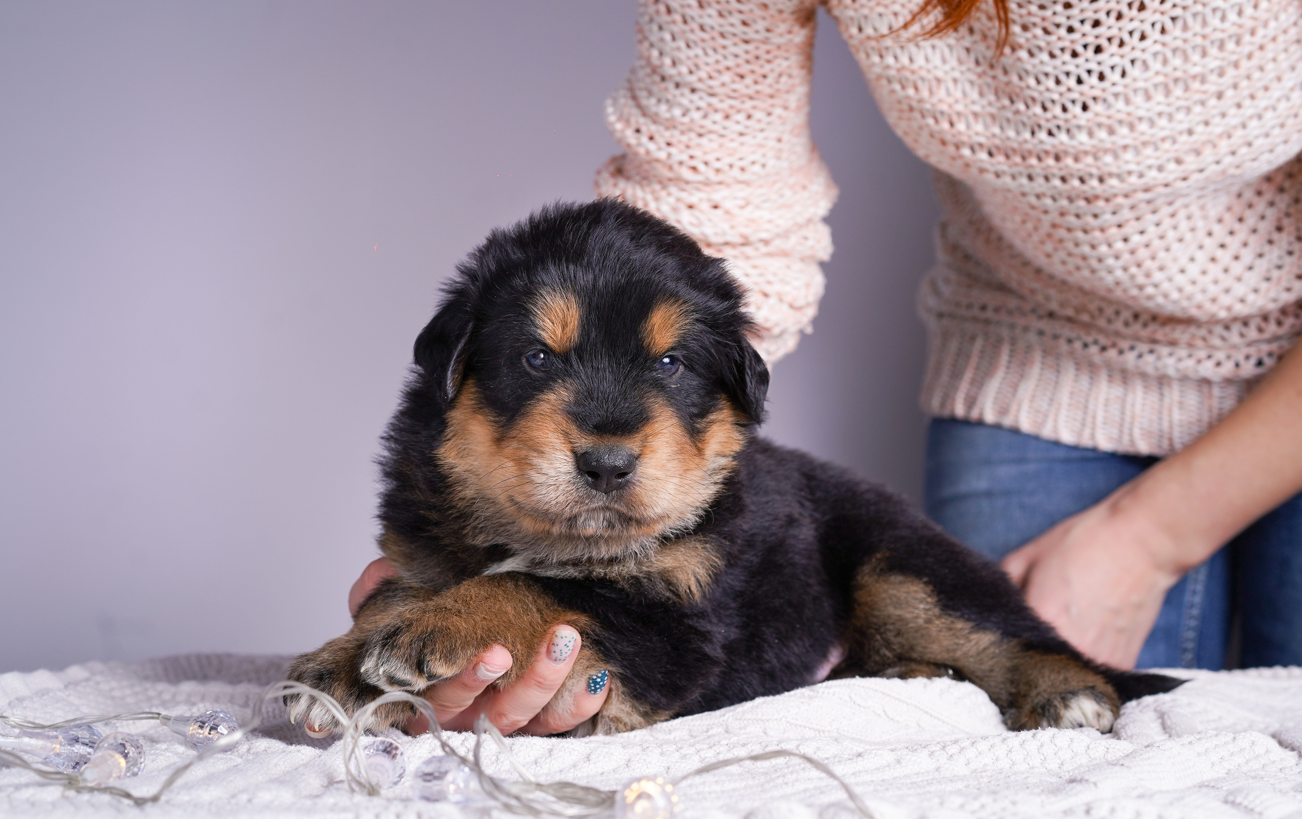 Щенки хотошо. Фотограф-анималист в Санкт-Петербурге Яна Мартынова