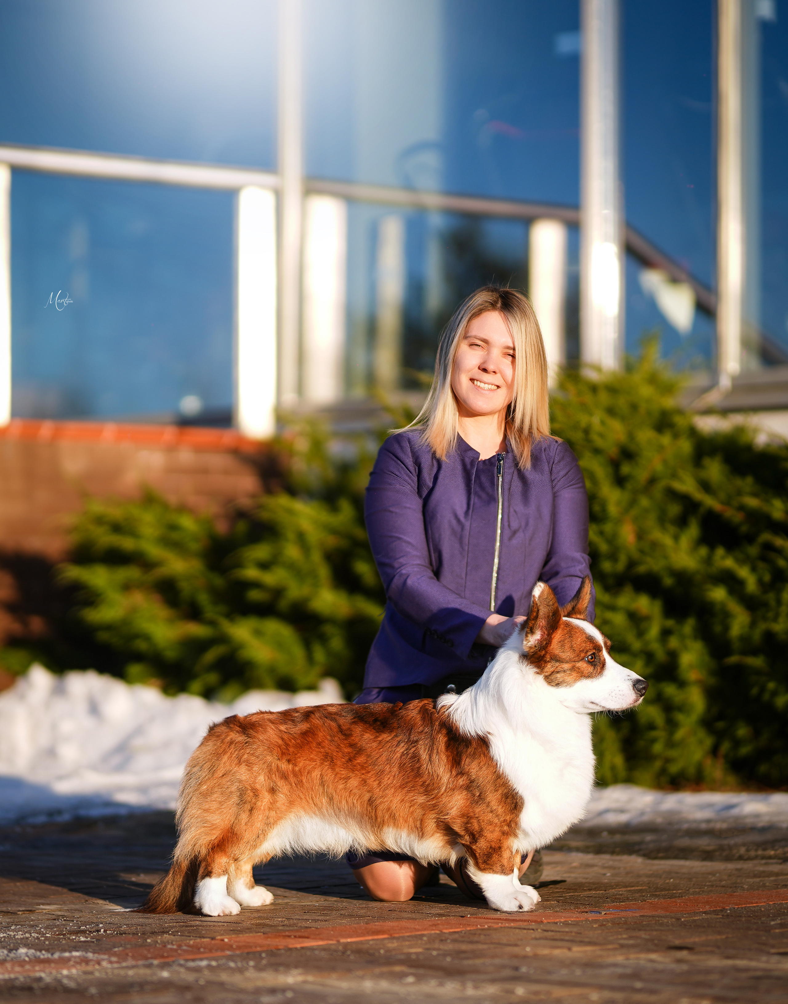 Экстерьерная съемка 2023. Фотограф-анималист в Санкт-Петербурге Яна Мартынова