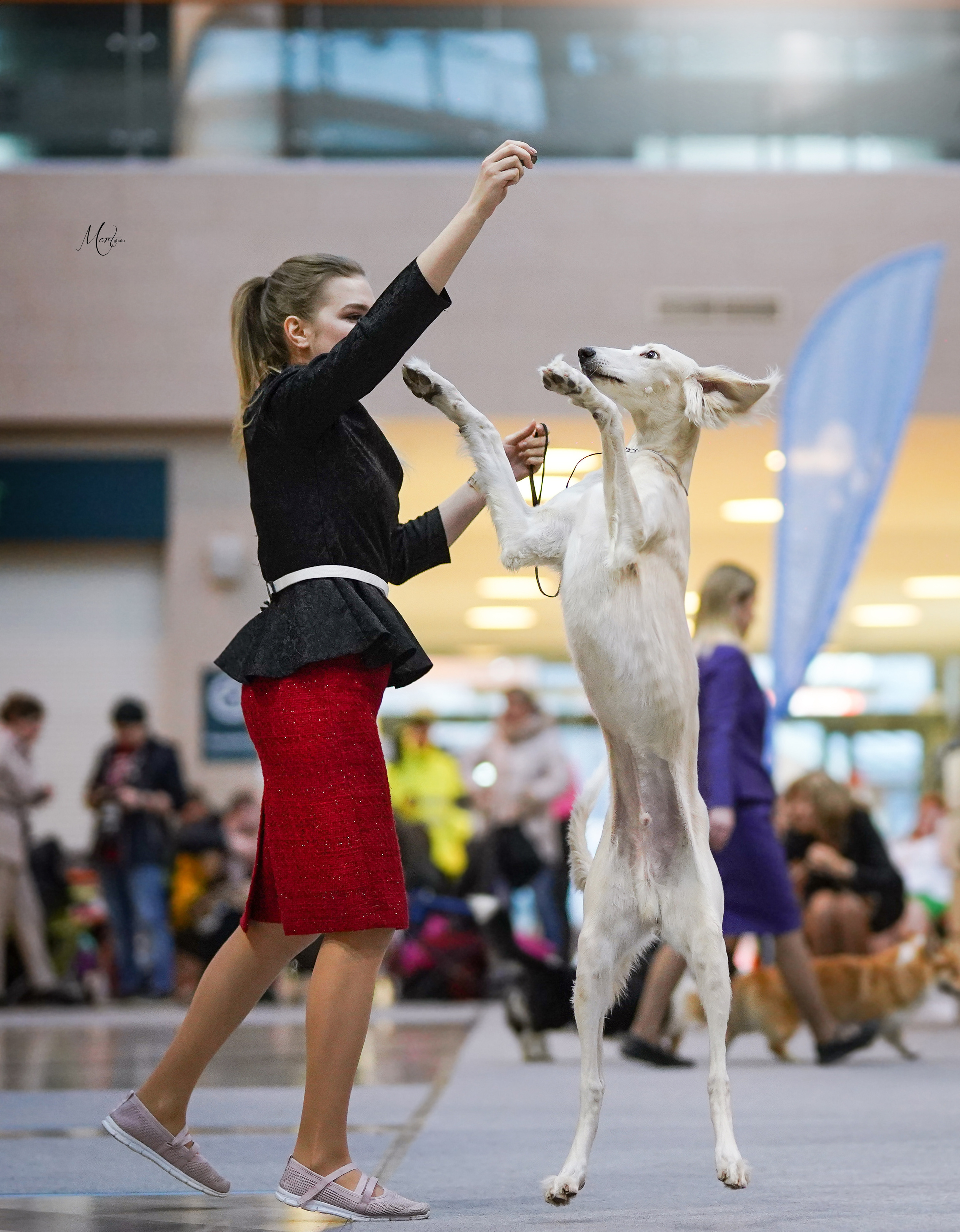 Выставки 2023. Фотограф-анималист в Санкт-Петербурге Яна Мартынова