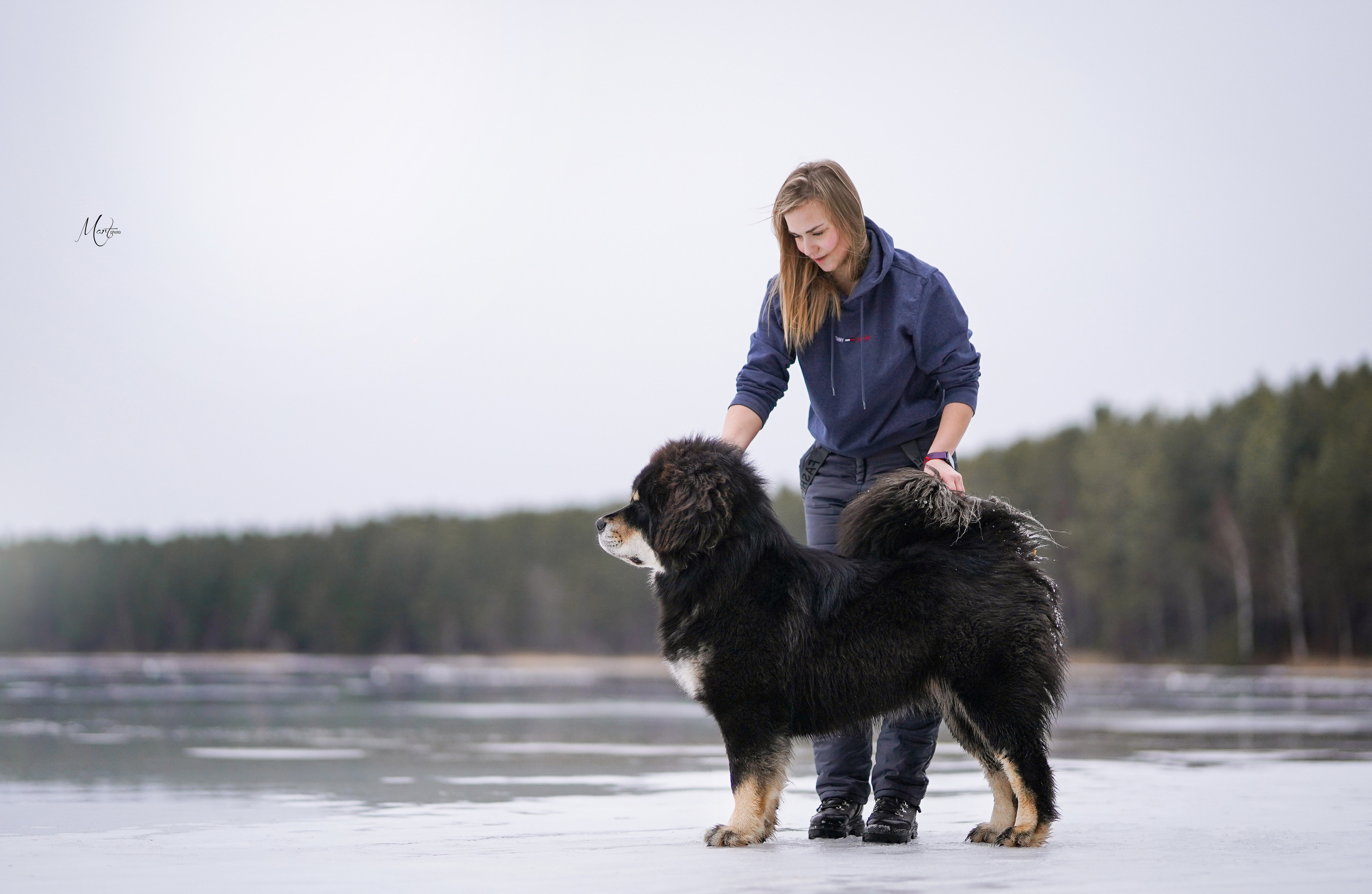 Тибеты. Фотограф-анималист в Санкт-Петербурге Яна Мартынова