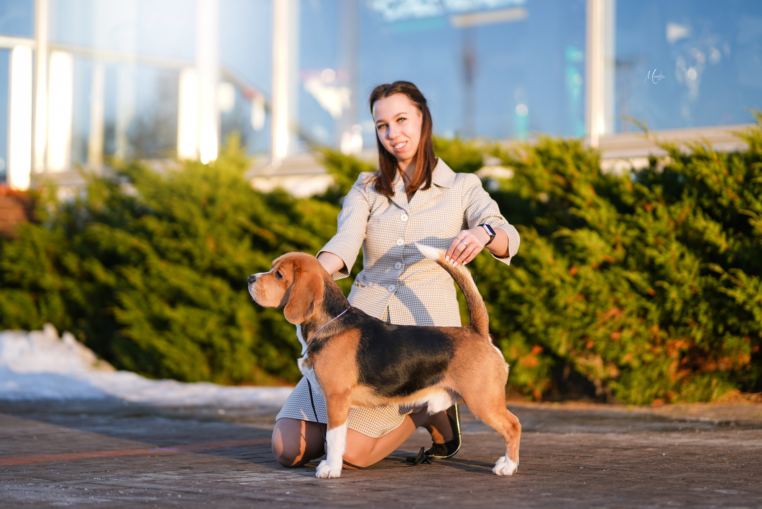 Выставки 2023. Фотограф-анималист в Санкт-Петербурге Яна Мартынова