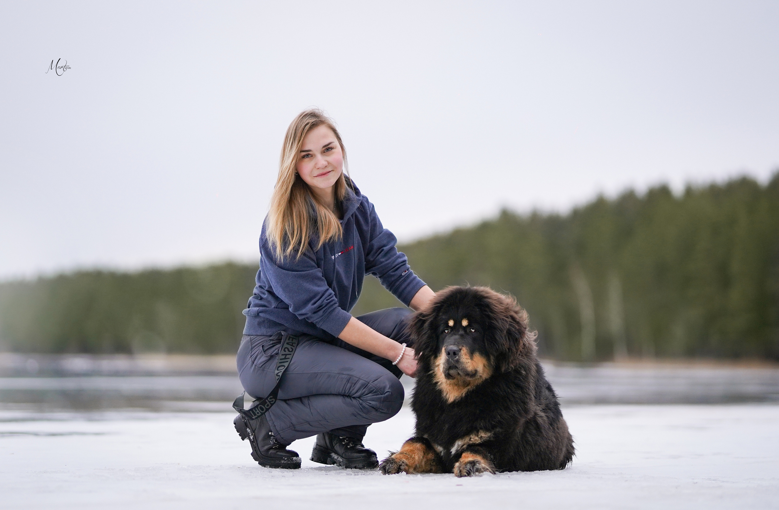 Тибеты. Фотограф-анималист в Санкт-Петербурге Яна Мартынова
