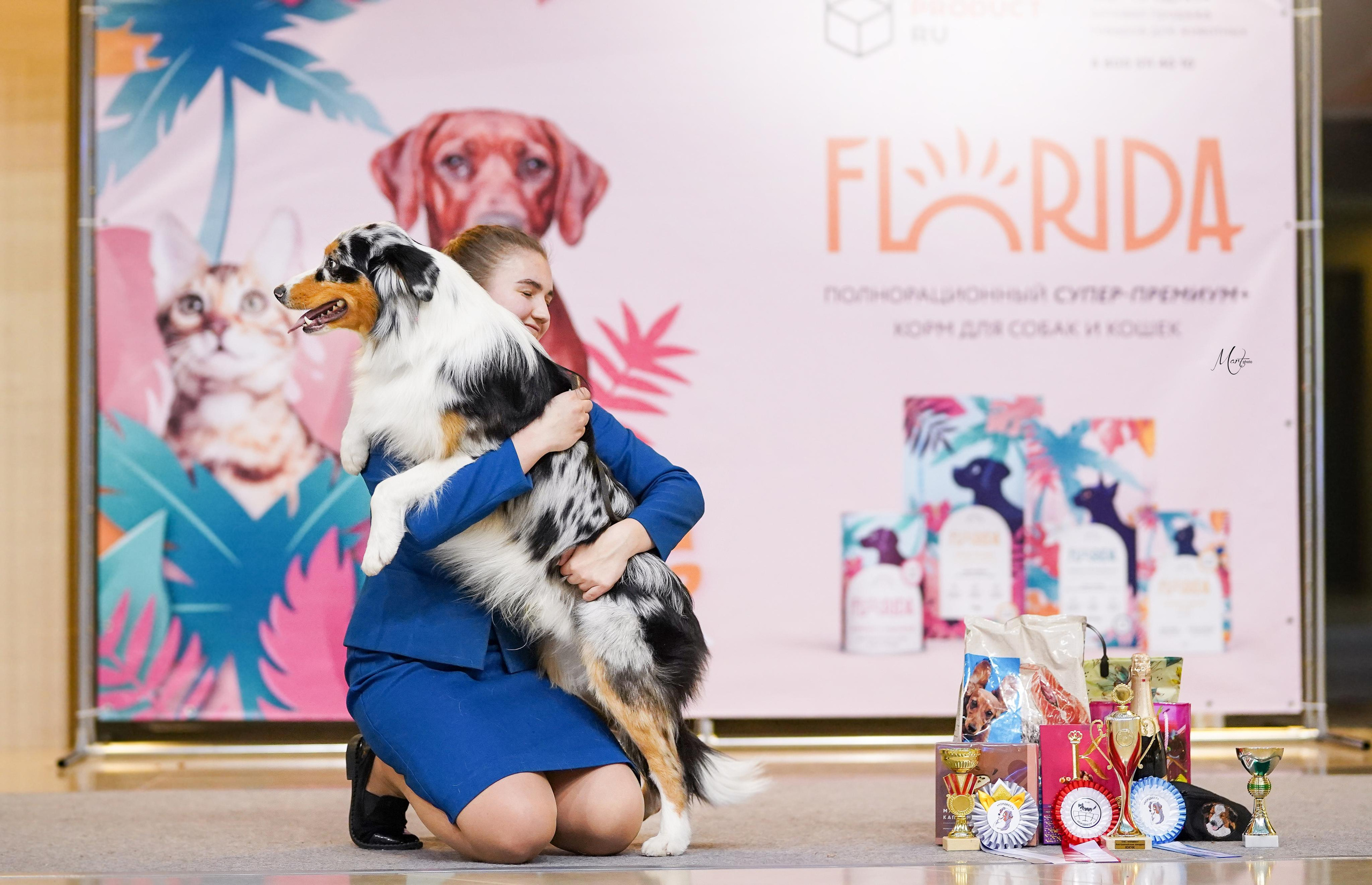 Выставки 2023. Фотограф-анималист в Санкт-Петербурге Яна Мартынова