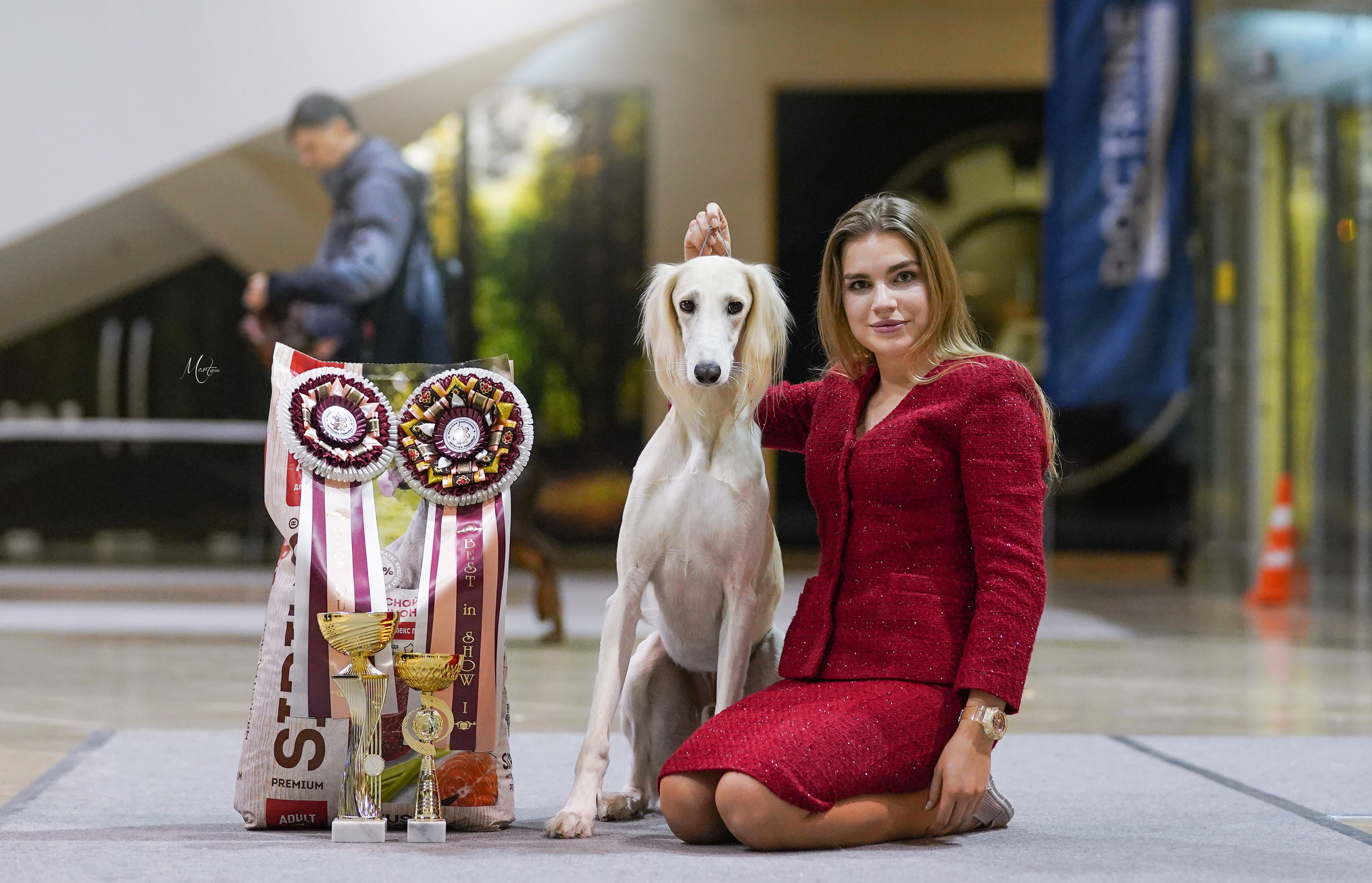 Выставки 2023. Фотограф-анималист в Санкт-Петербурге Яна Мартынова