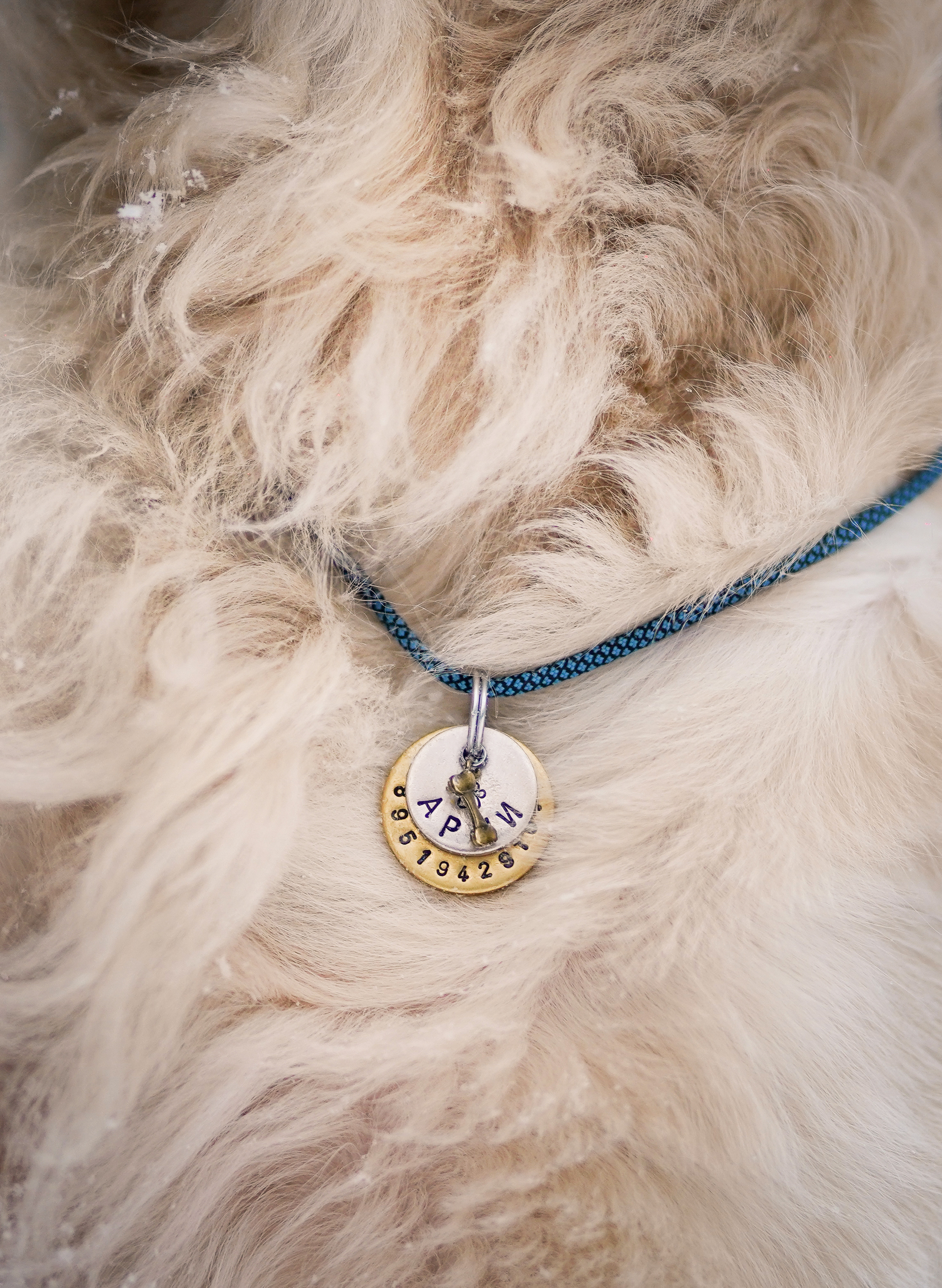 Настя и Арчи. Фотограф-анималист в Санкт-Петербурге Яна Мартынова