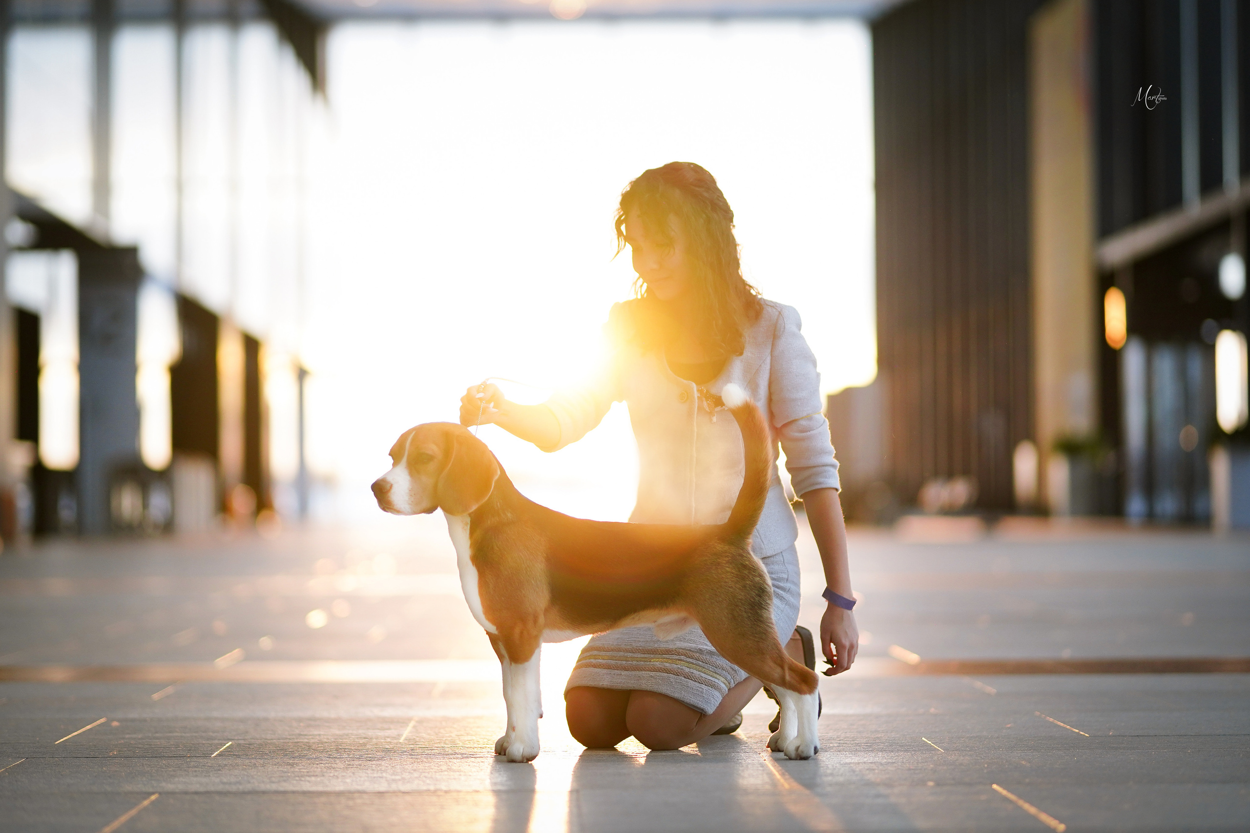 Экстерьерная съемка 2022. Фотограф-анималист в Санкт-Петербурге Яна Мартынова