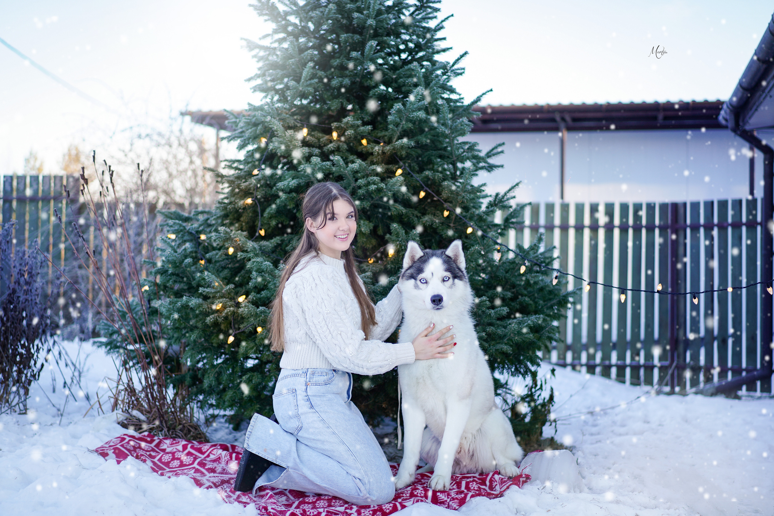 Саша и хаски зима. Фотограф-анималист в Санкт-Петербурге Яна Мартынова
