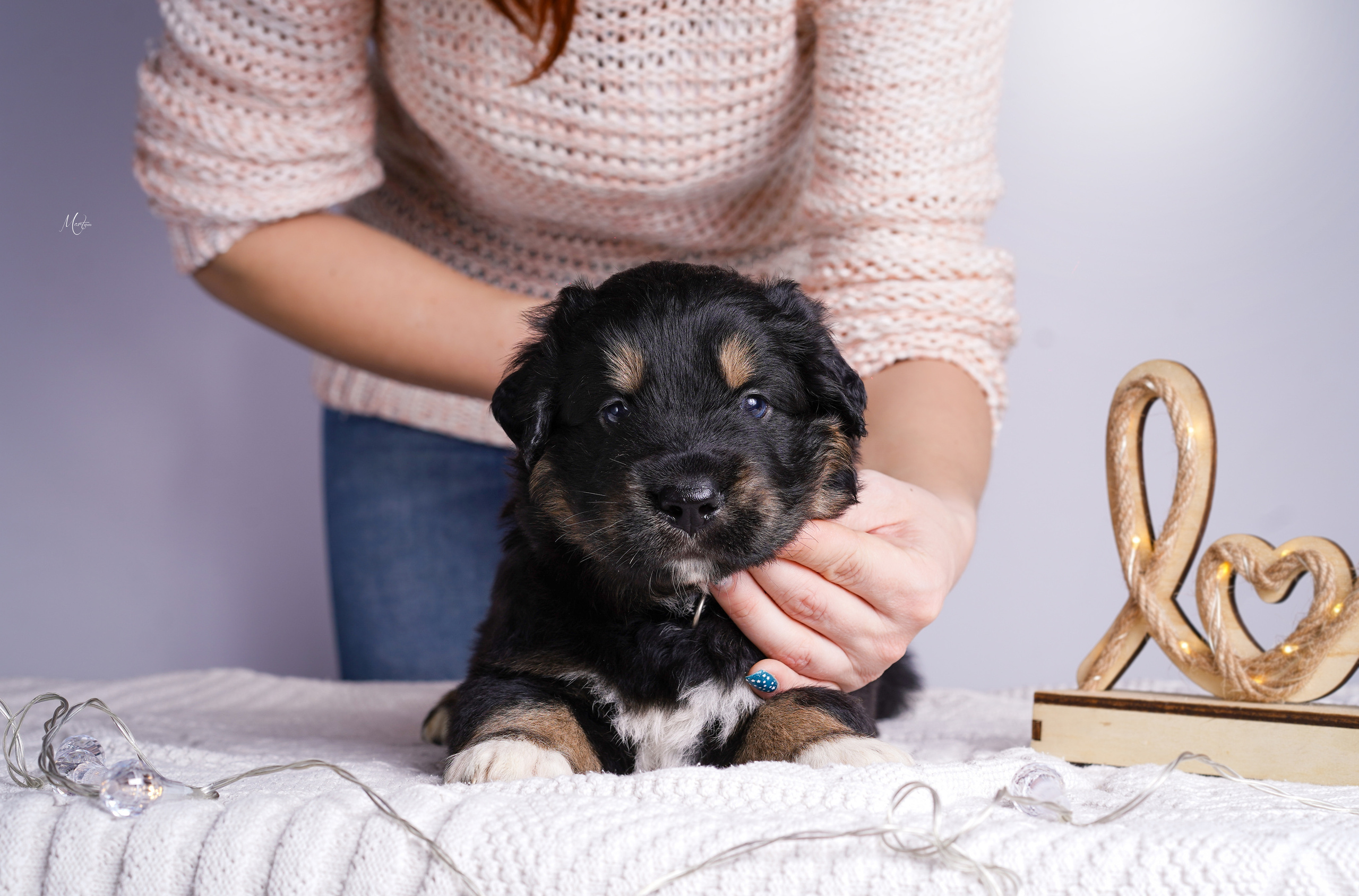 Щенки хотошо. Фотограф-анималист в Санкт-Петербурге Яна Мартынова