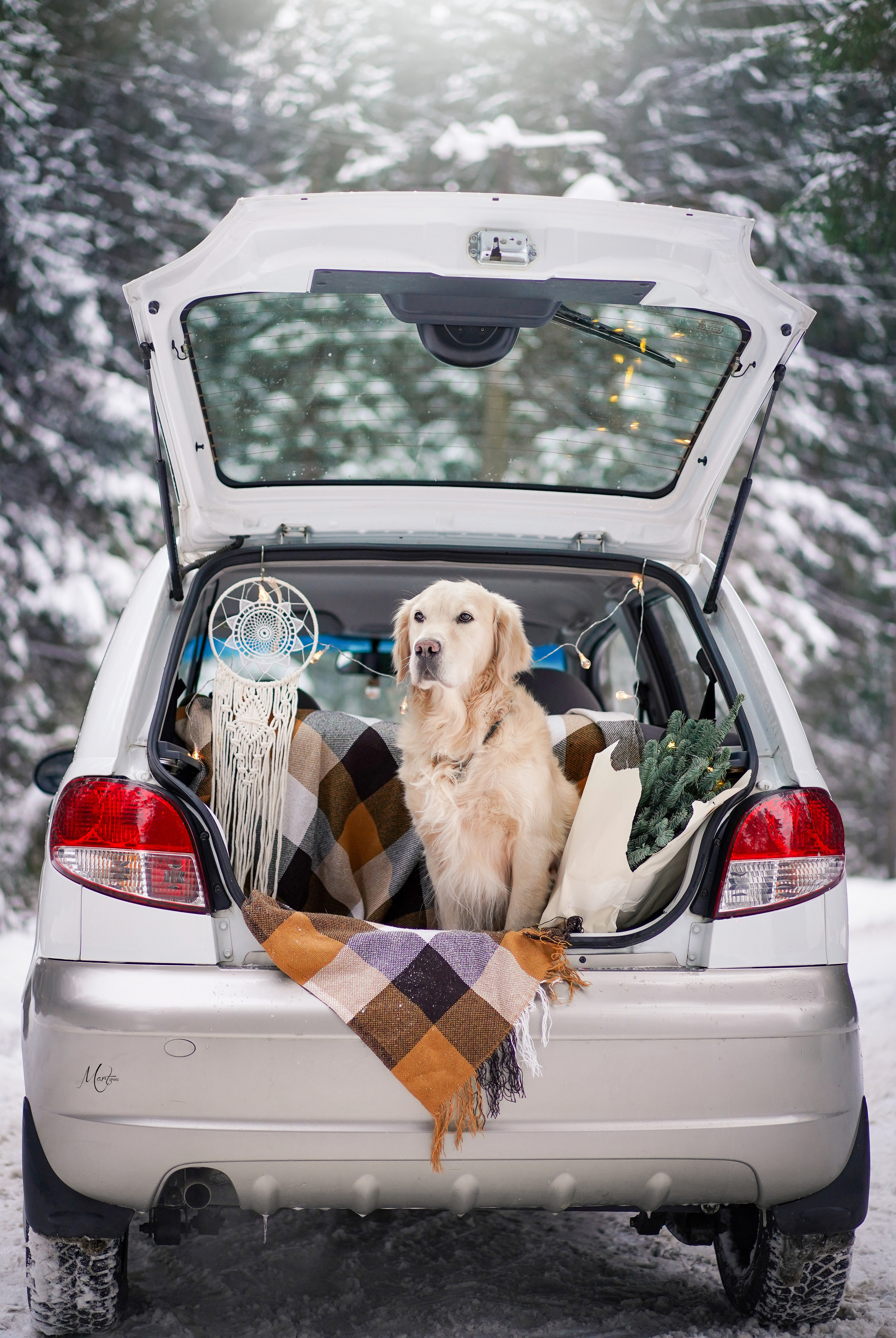 Настя и Арчи. Фотограф-анималист в Санкт-Петербурге Яна Мартынова