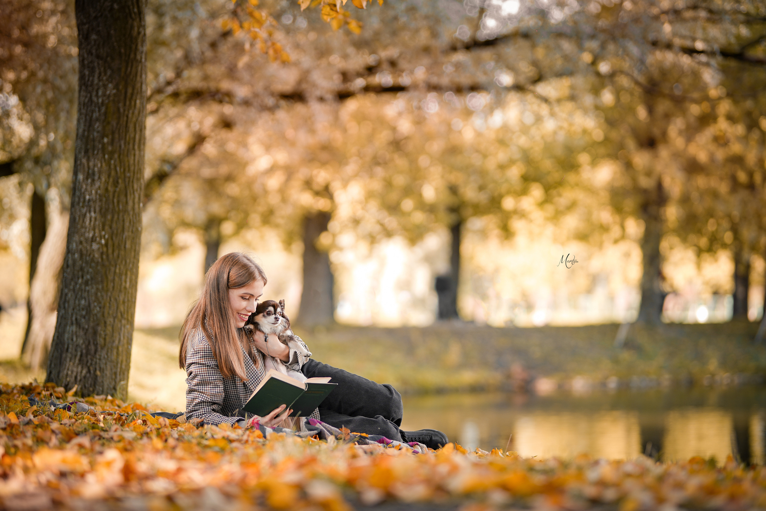 Услуги. Фотограф-анималист в Санкт-Петербурге Яна Мартынова