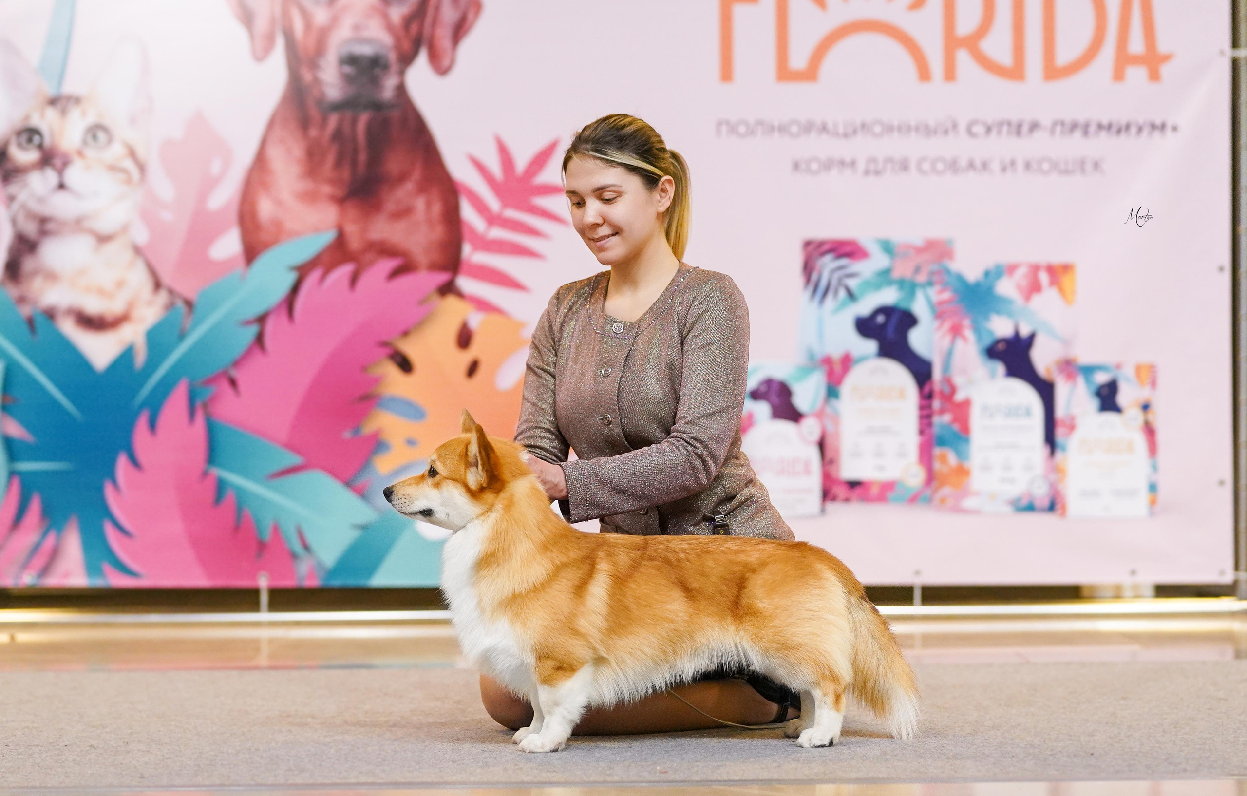 Выставки 2023. Фотограф-анималист в Санкт-Петербурге Яна Мартынова