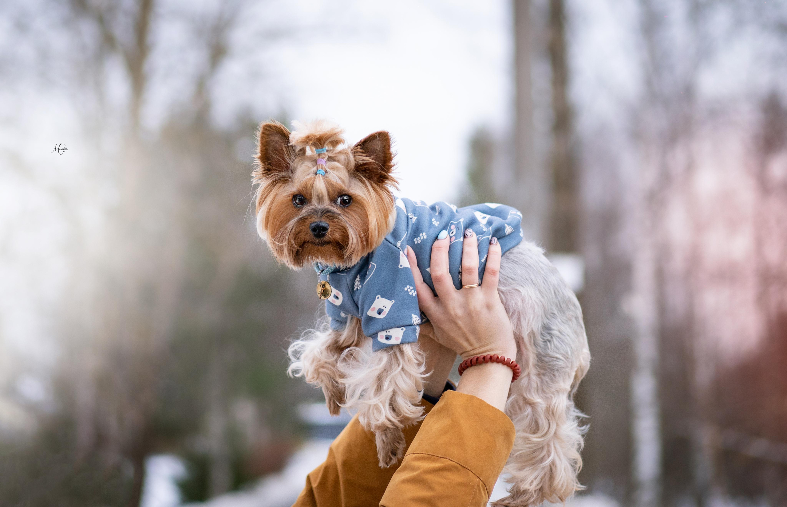 Эффи, Юни зима 23'. Фотограф-анималист в Санкт-Петербурге Яна Мартынова