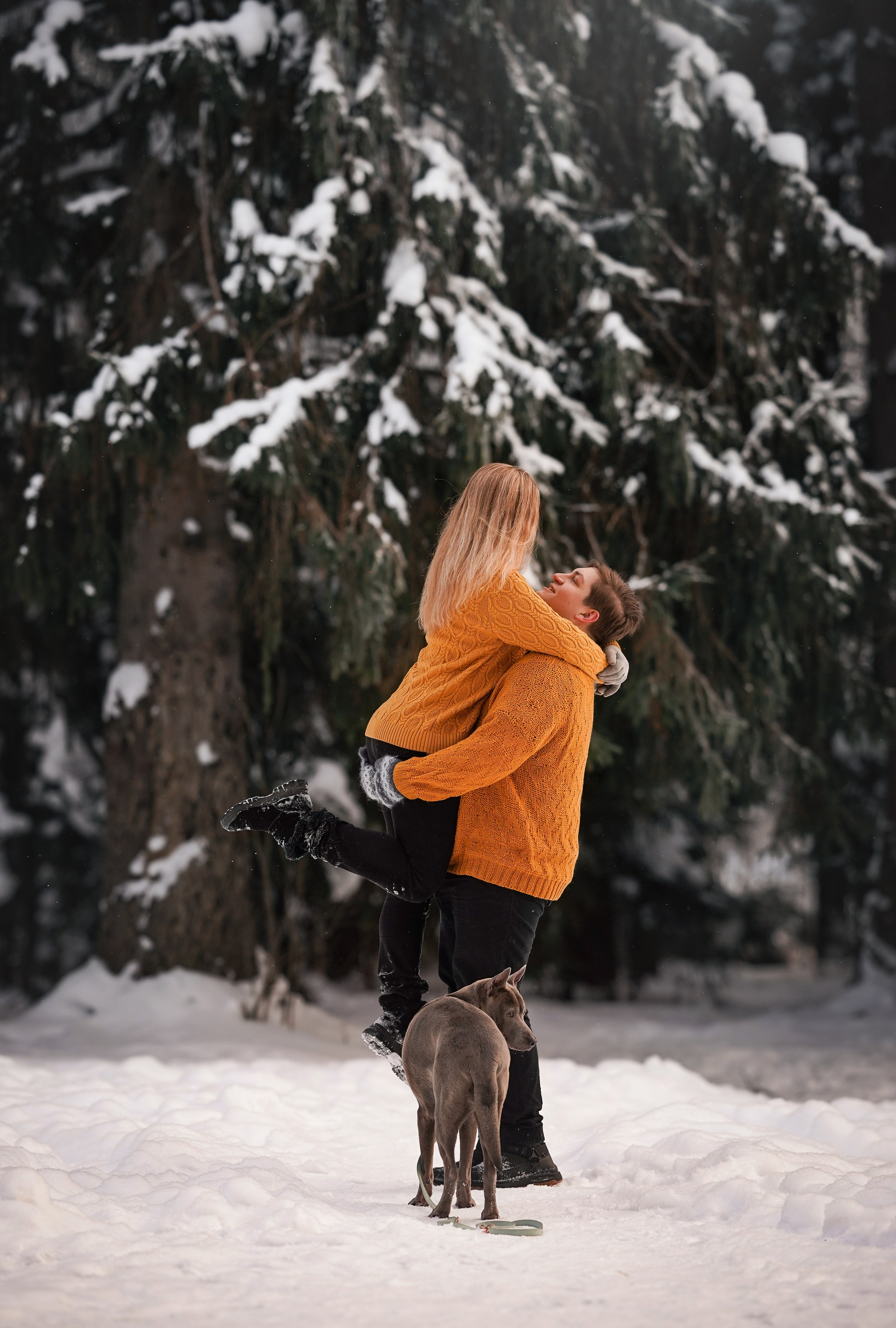 Даша Илья Вениамина и Мэдиссон. Фотограф-анималист в Санкт-Петербурге Яна Мартынова